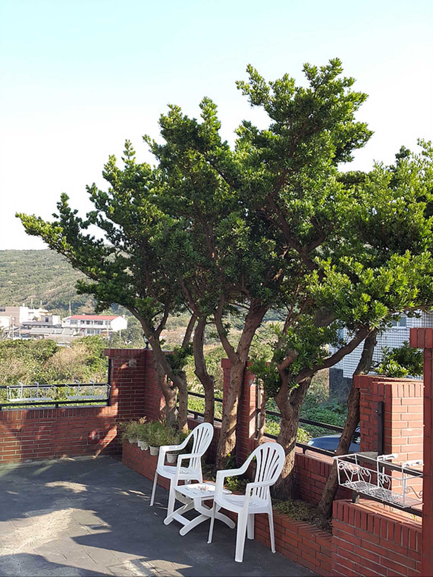 Gift card for The Easy Space