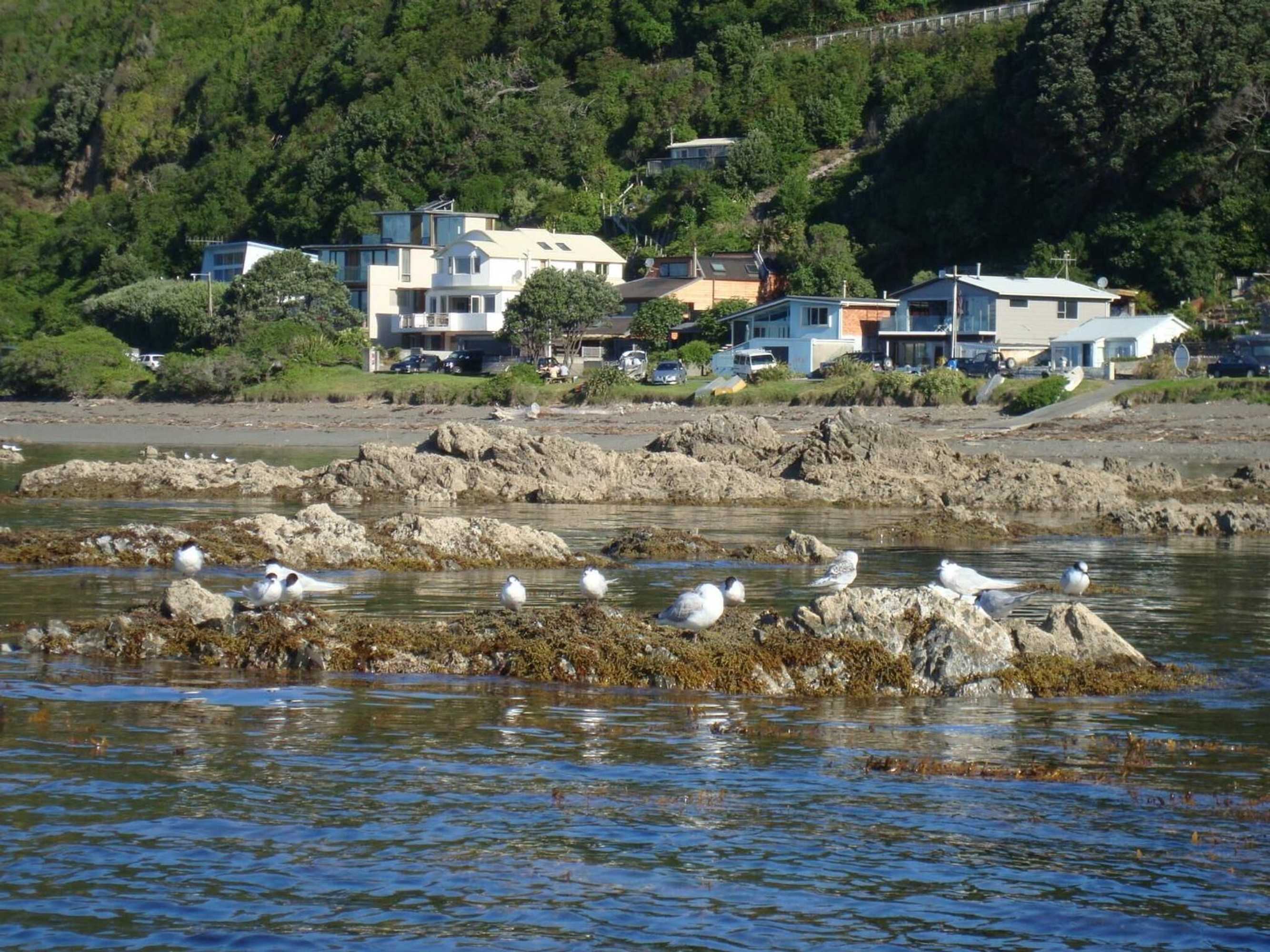 Gift card for Kapiti Waves Bed & Breakfast Gift card for Kapiti Waves Bed & Breakfast