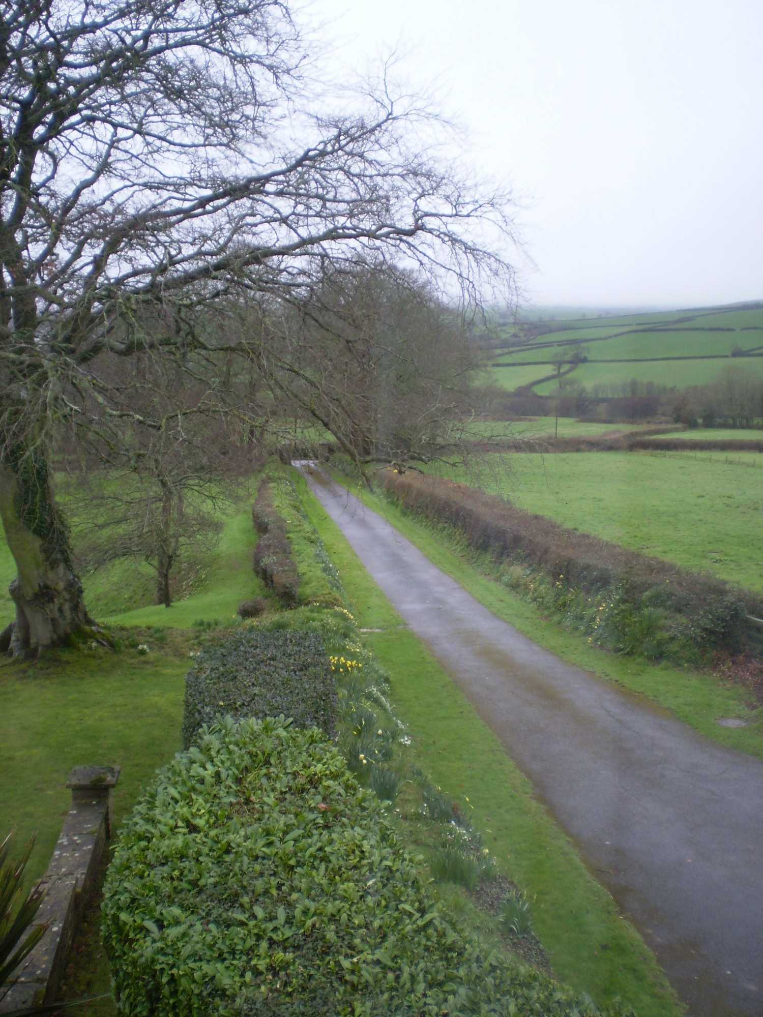 Gift card for Buckley Farmhouse B & B