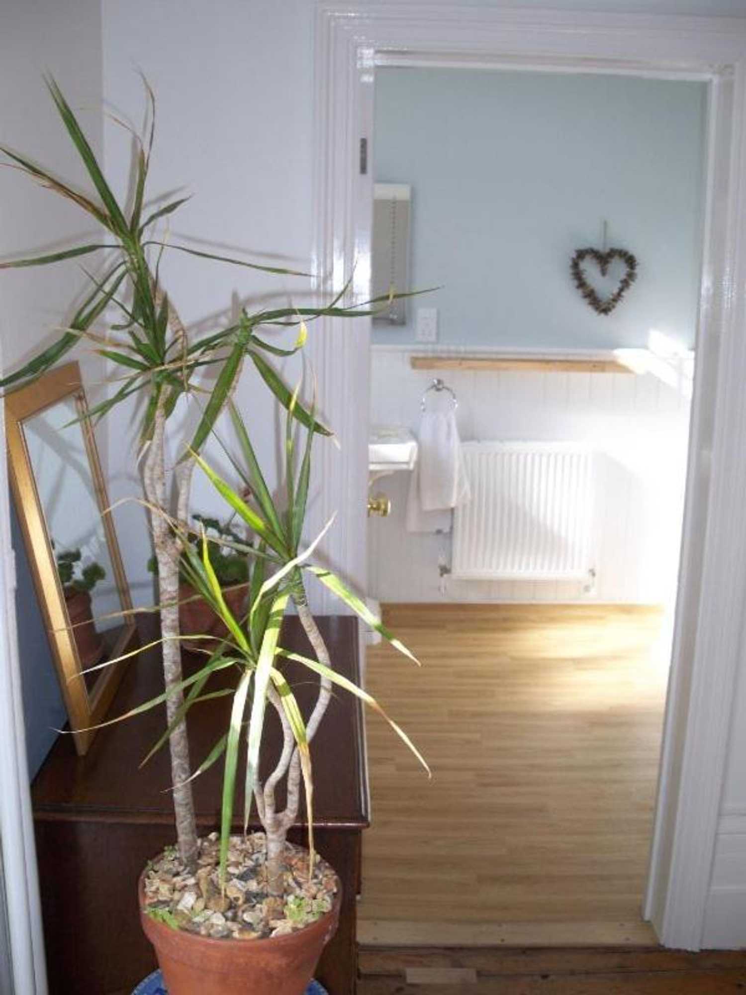 Gift card for Broadstairs House Boutique B&b By The Sea