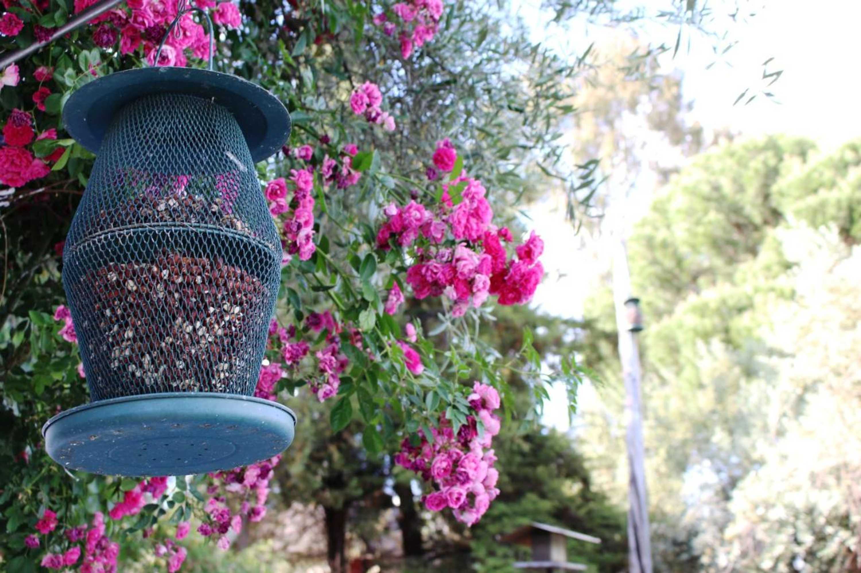 Gift card for Tapada da Rabela - Reserva Natural