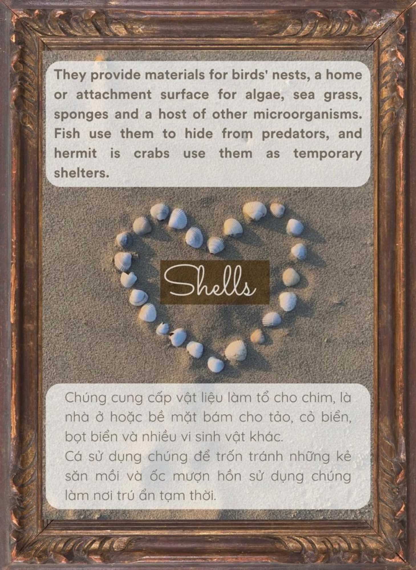 Gift card for Paradise Resort Doc Let Gift card for Paradise Resort Doc Let