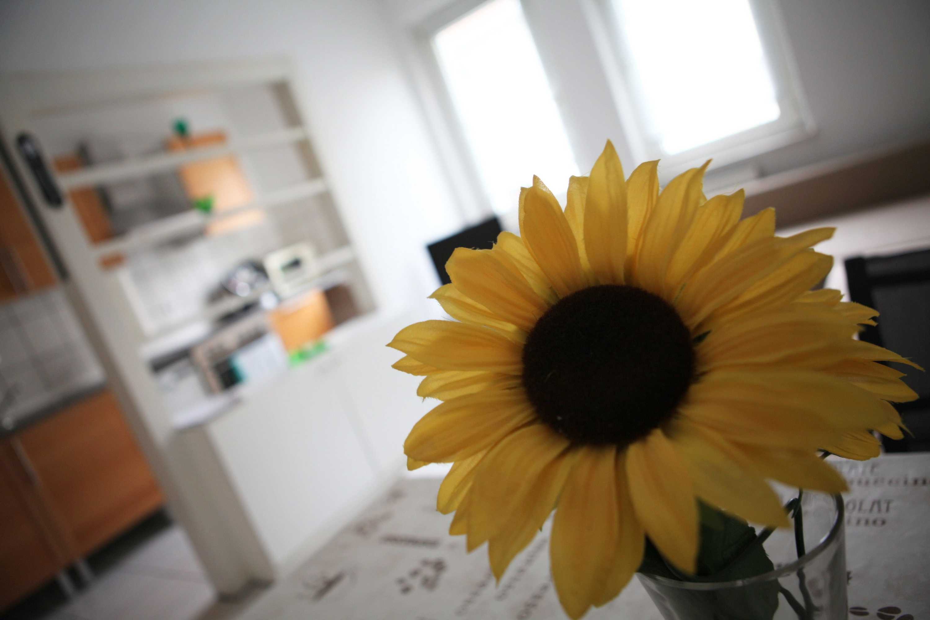 Gift card for White House Bochum Ehrenfeld