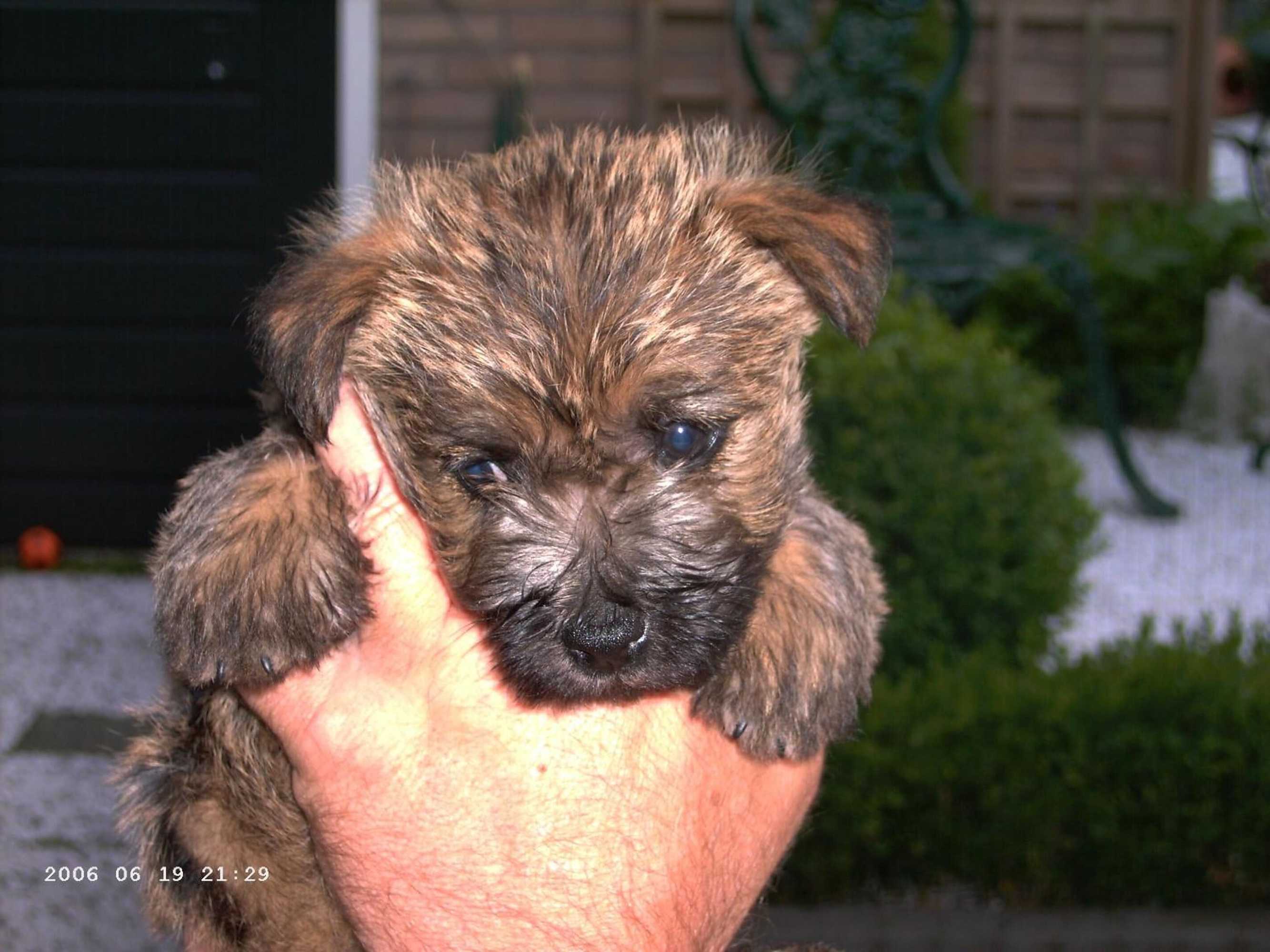 Gift card for B&b Op de Parkkamp