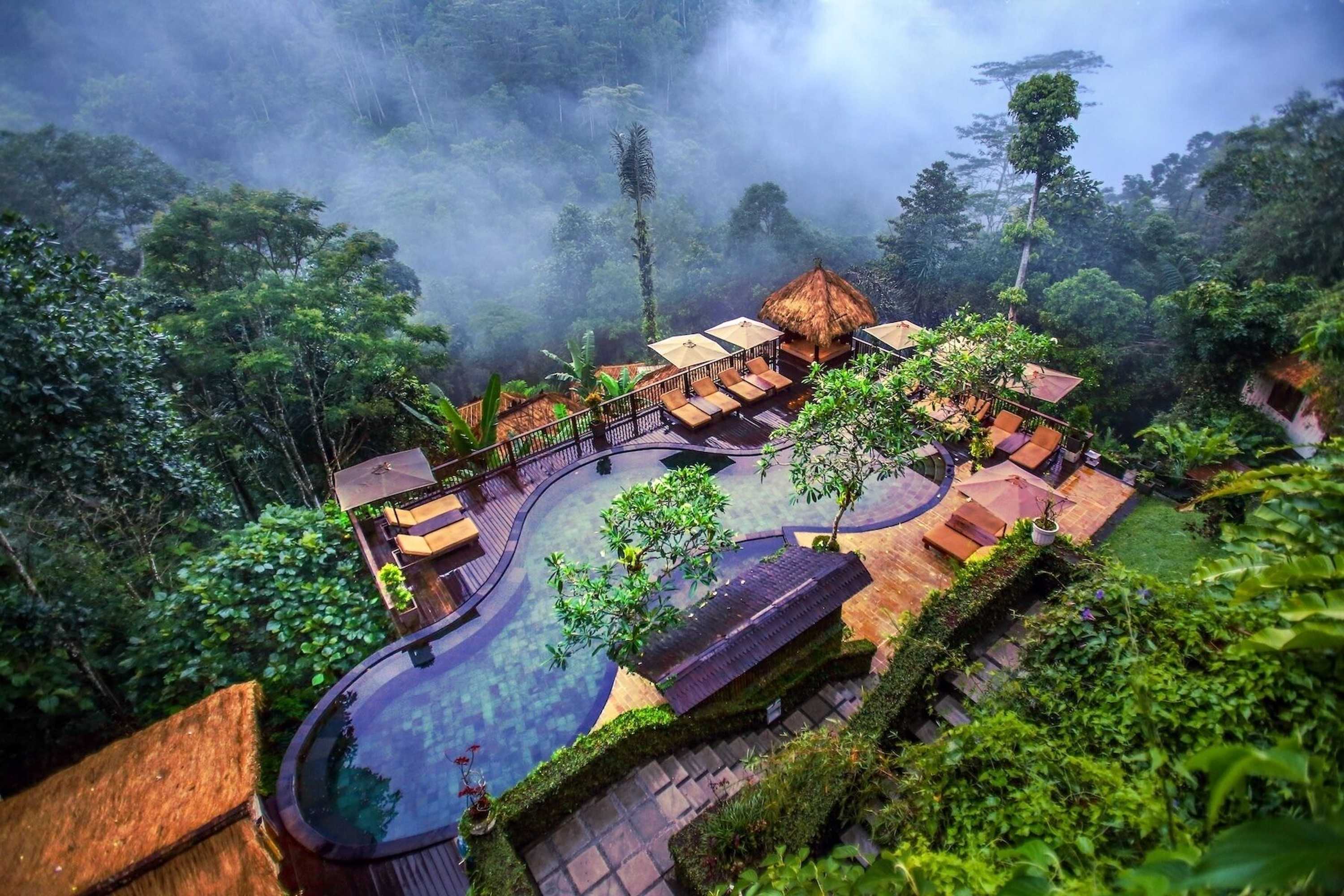 Gift card for Nandini Jungle by Hanging Gardens Gift card for Nandini Jungle by Hanging Gardens