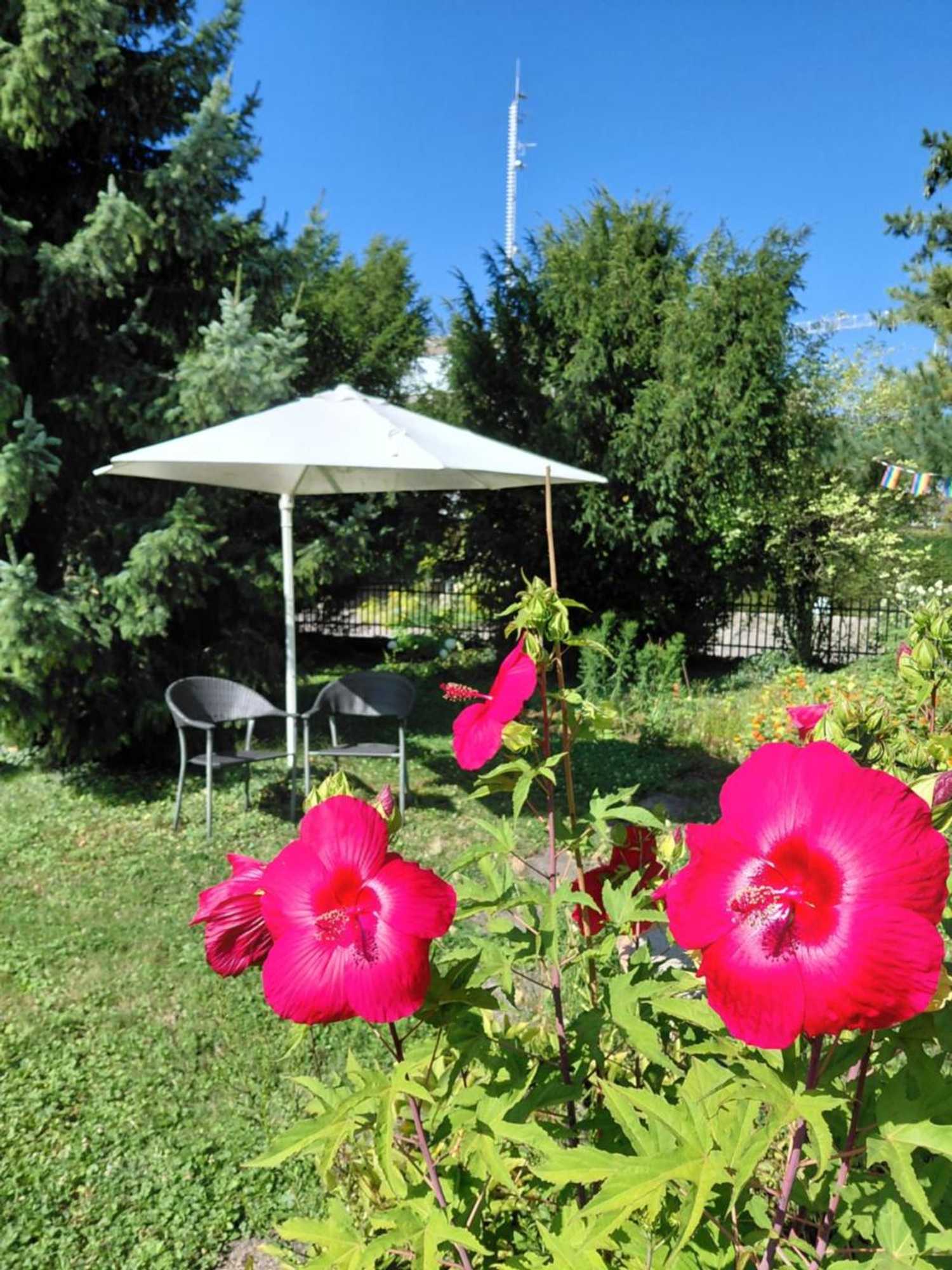 Gift card for B&b Kalimera Pratteln