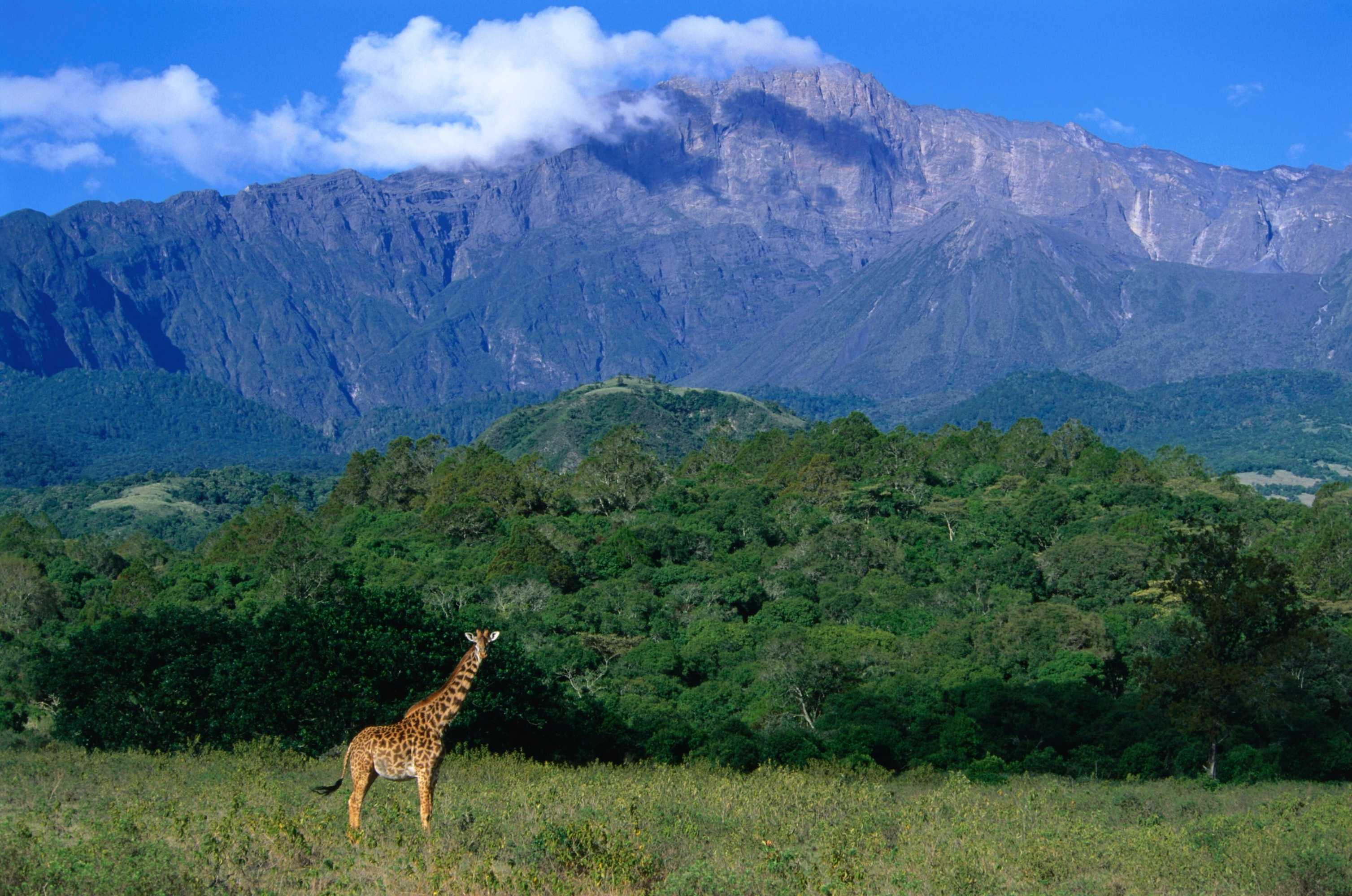 Gift card for Elewana Arusha Coffee Lodge Gift card for Elewana Arusha Coffee Lodge