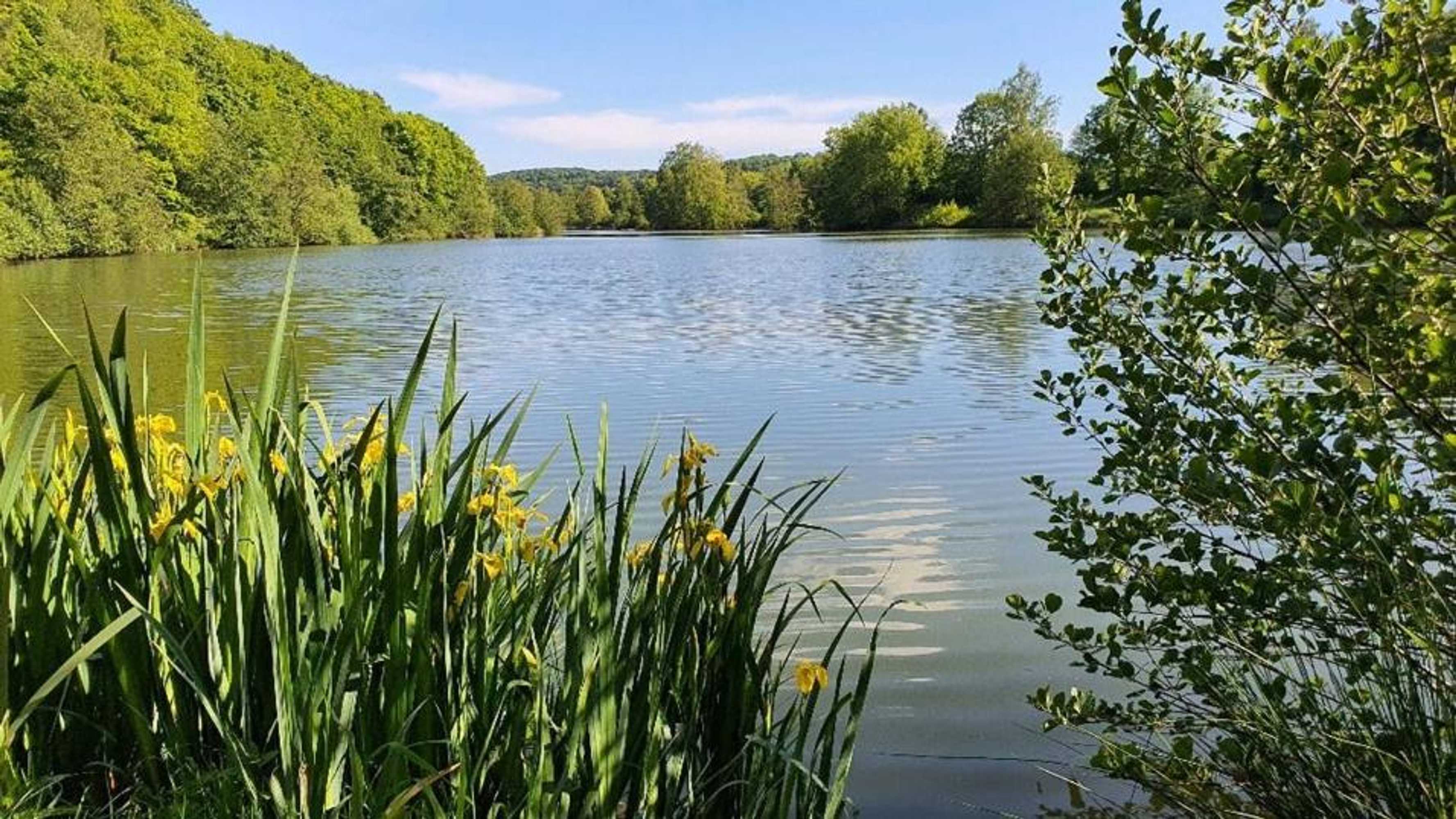 Gift card for Einhaus