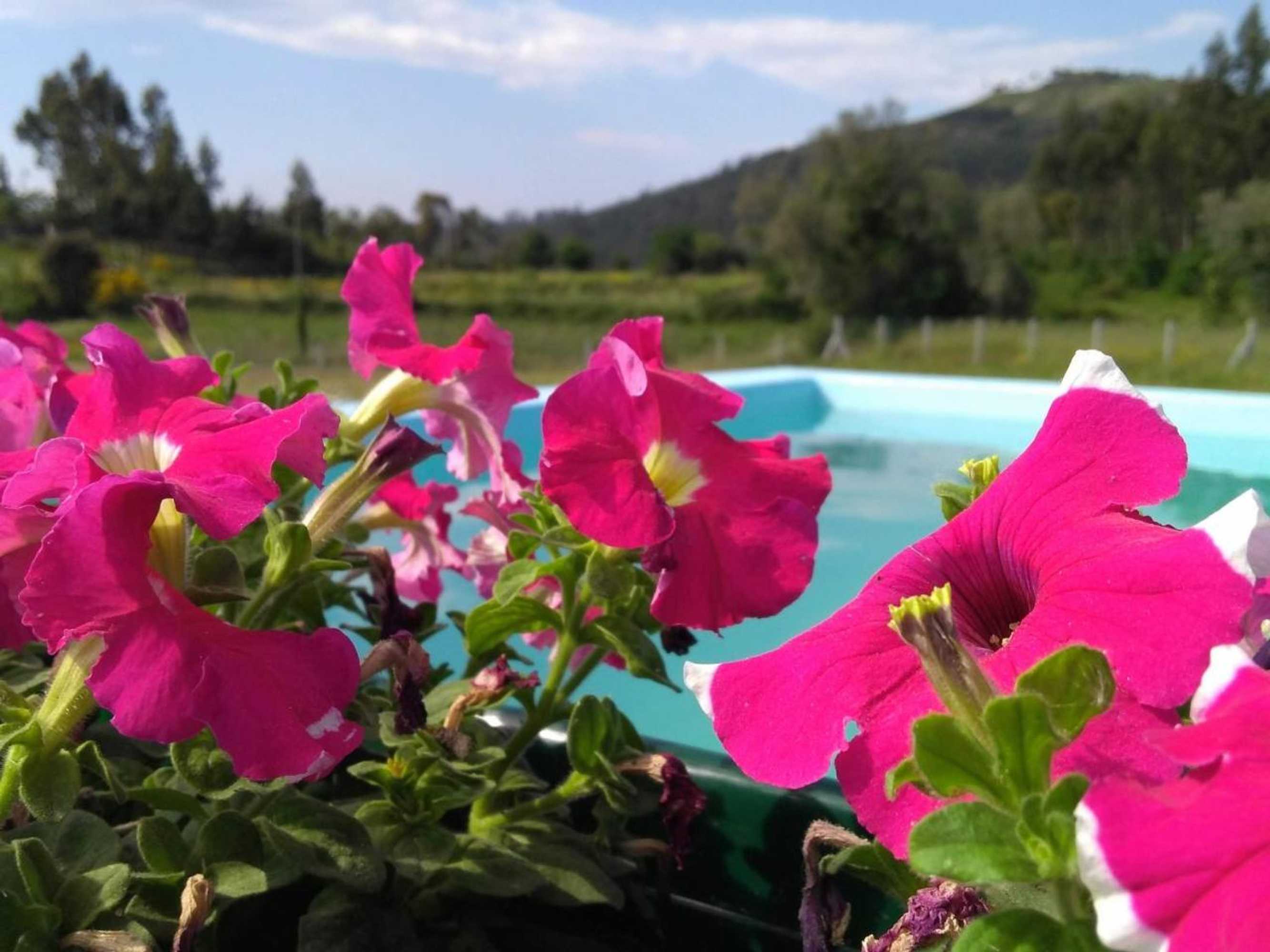 Gift card for Casa do Pinheiro Manso