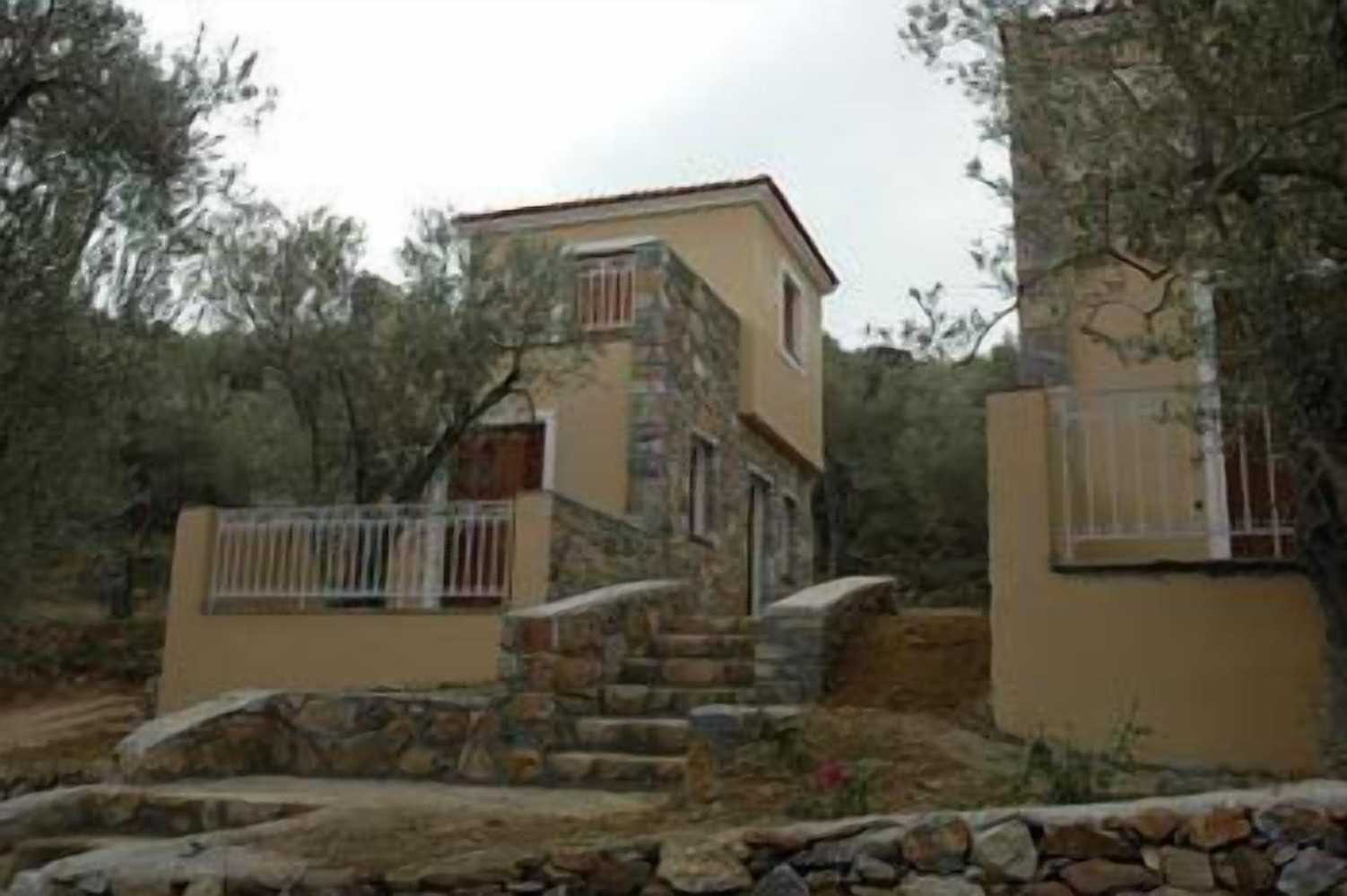 Gift card for Gera's Olive Grove
