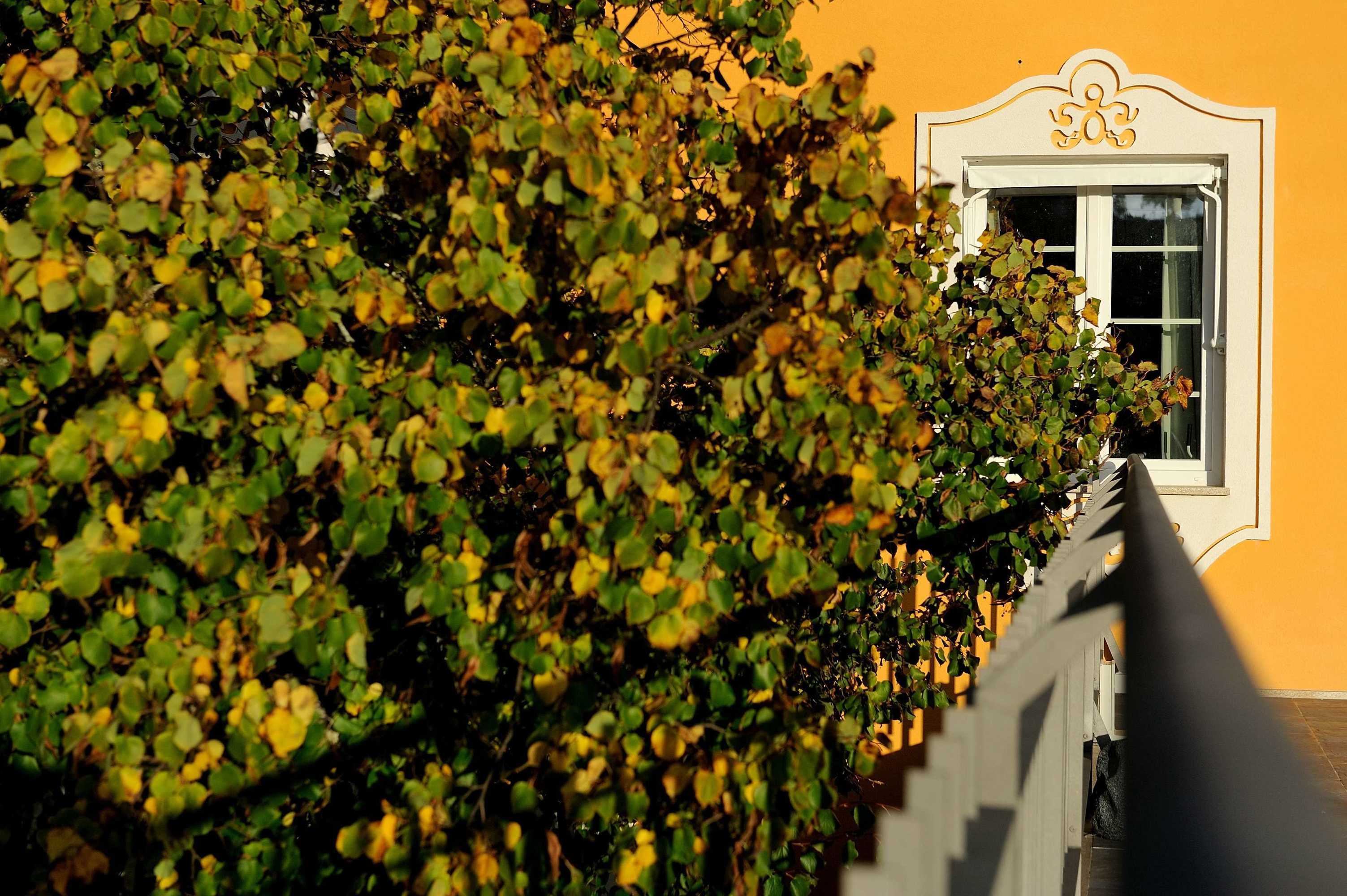 Gift card for Cabeças do Reguengo