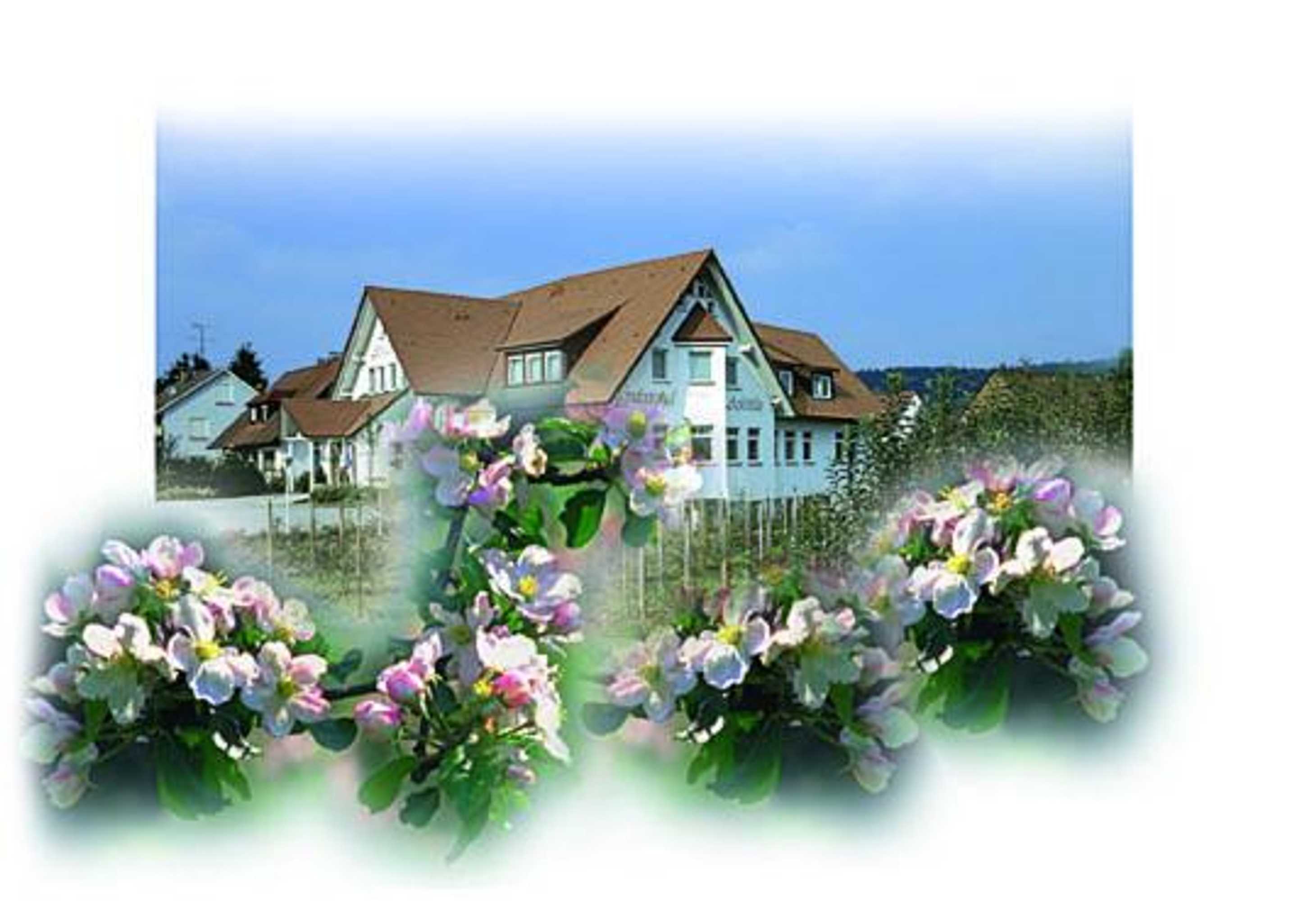Gift card for Apfelblüte Bed & Breakfast 8 km Vom Bodensee Gift card for Apfelblüte Bed & Breakfast 8 km Vom Bodensee