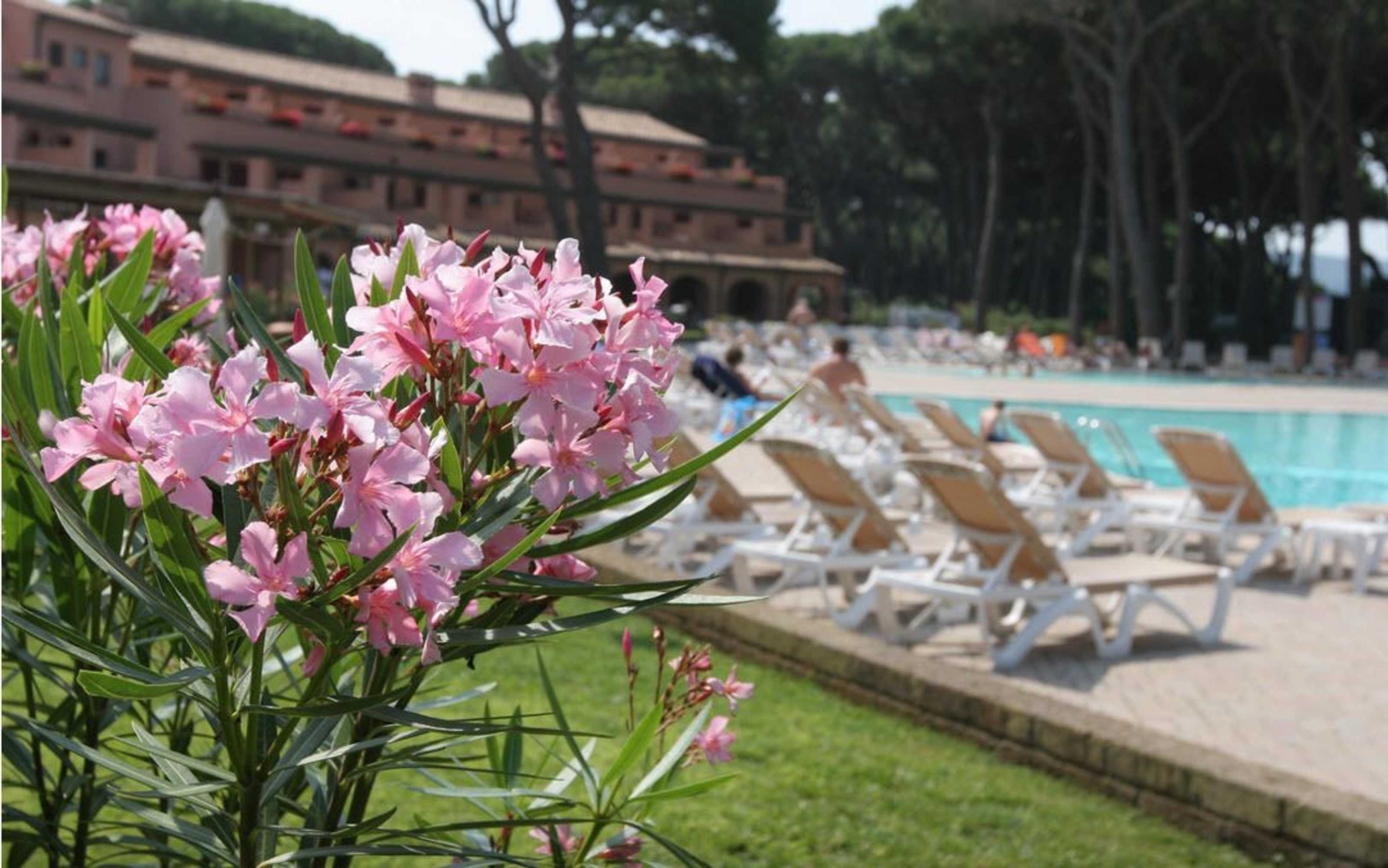 Gift card for Hotel Palace Corte Dei Tusci - Residence I Tusci Gift card for Hotel Palace Corte Dei Tusci - Residence I Tusci