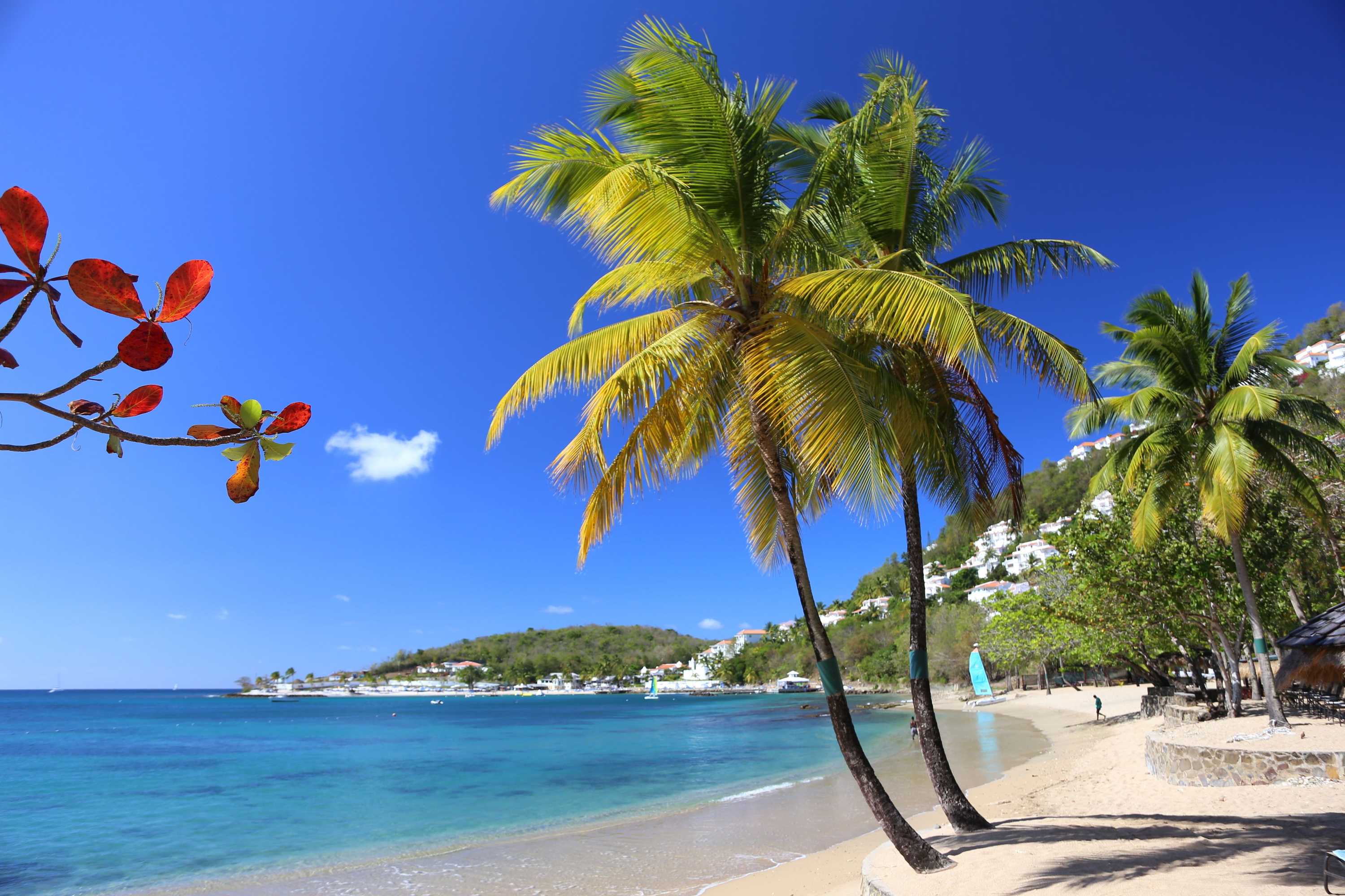 Gift card for East Winds Saint Lucia