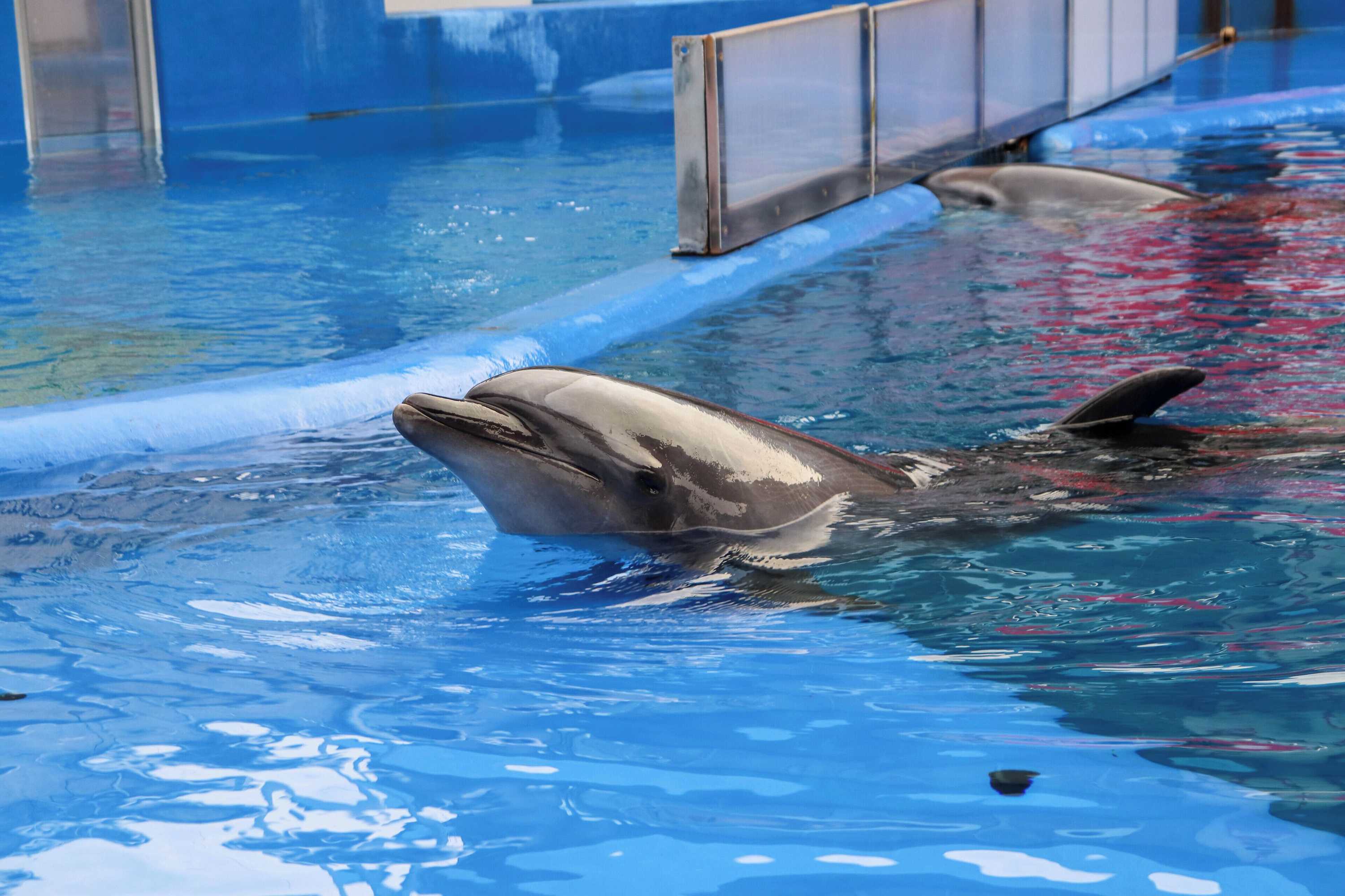 Gift card for Beppu Fuga Gift card for Beppu Fuga