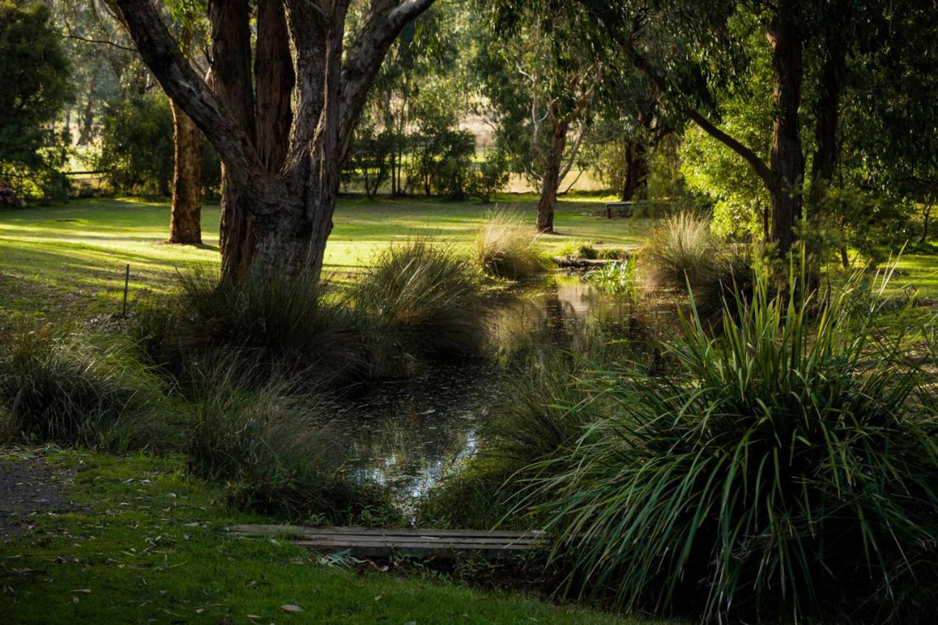 Gift card for The Burrow At Wombat Bend