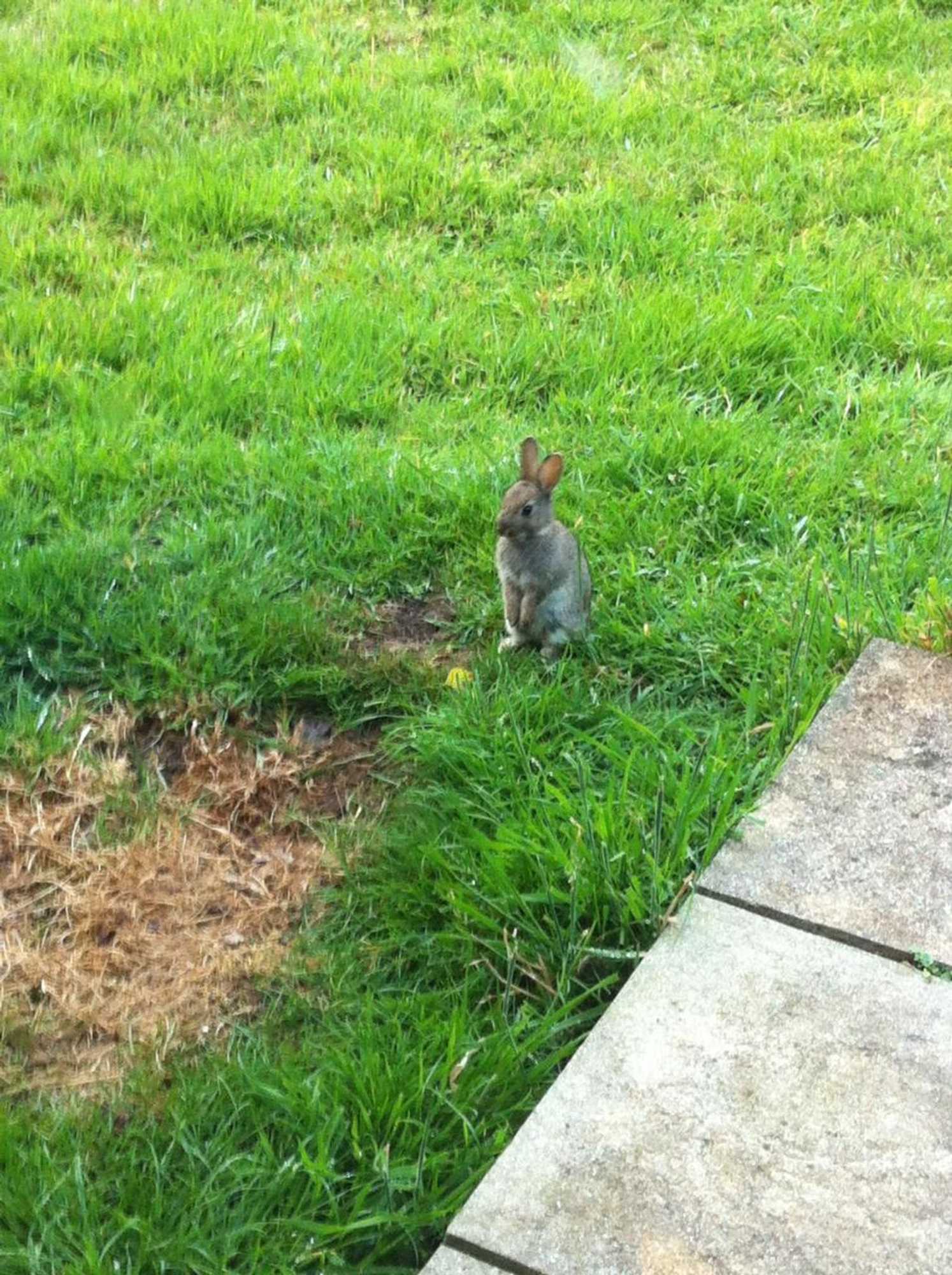 Gift card for Jonti Bed And Breakfast