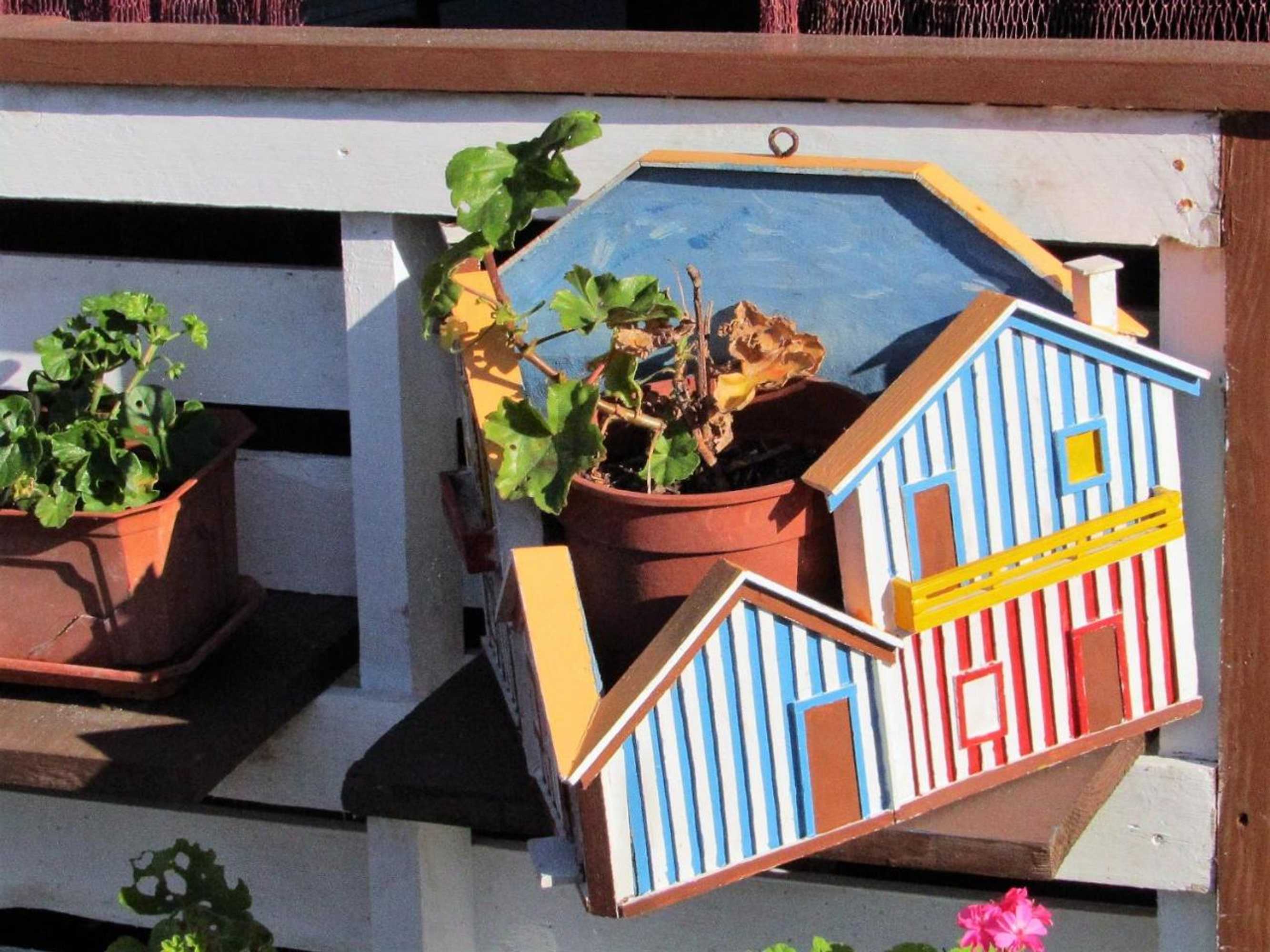 Gift card for Palheiros de Mira