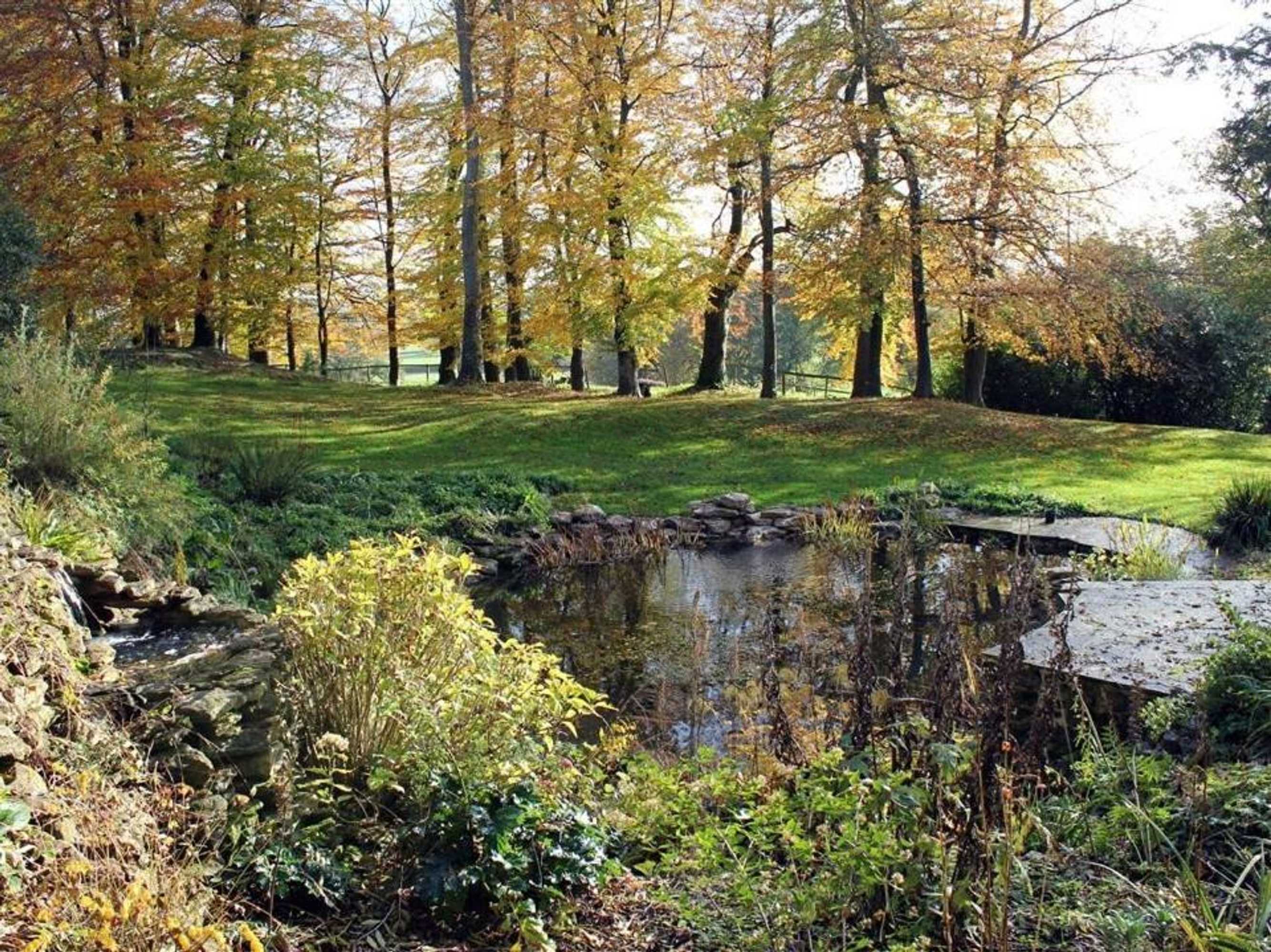 Gift card for The Folly at Castlebridge