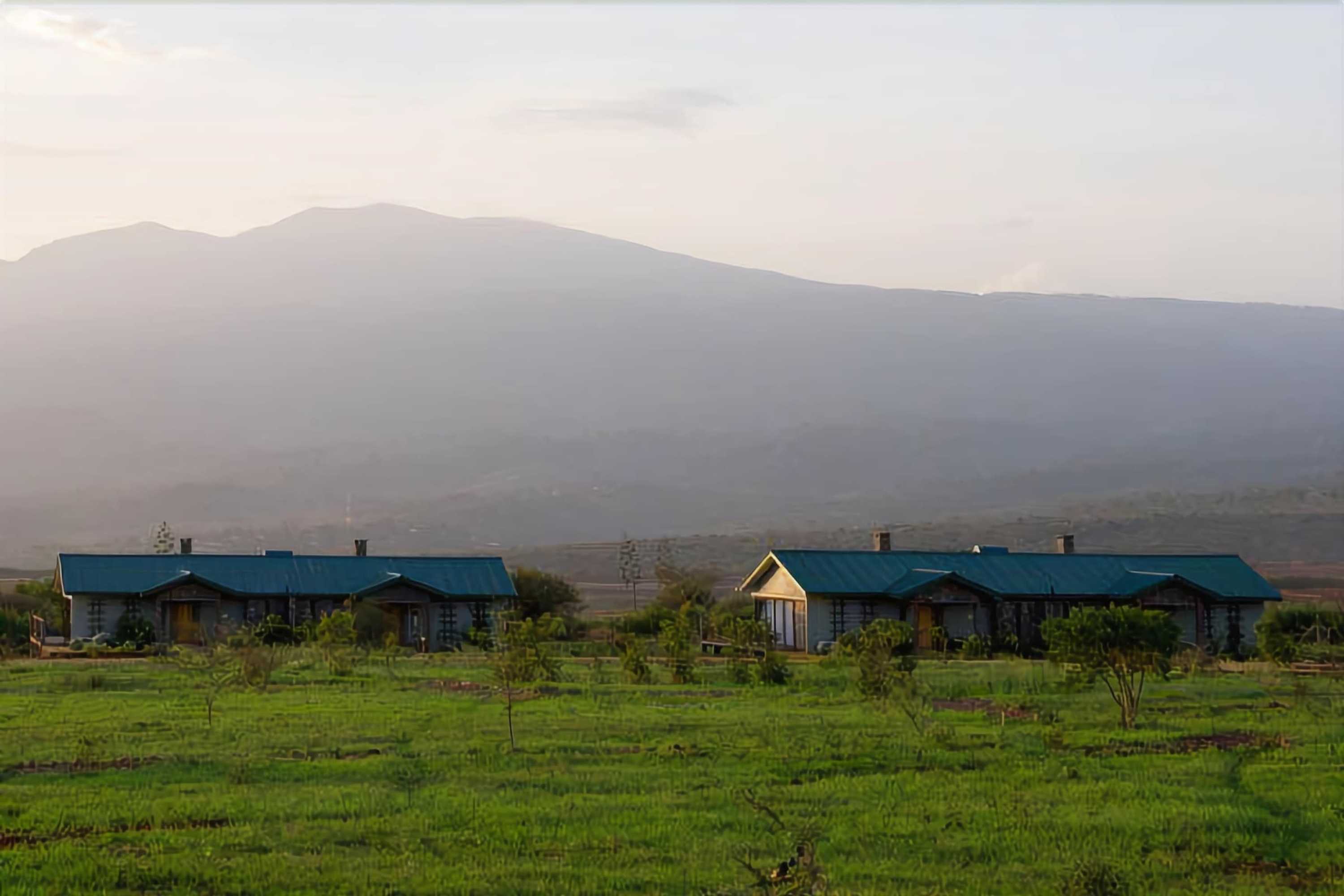 Gift card for Ngorongoro Oldeani Mountain Lodge Gift card for Ngorongoro Oldeani Mountain Lodge