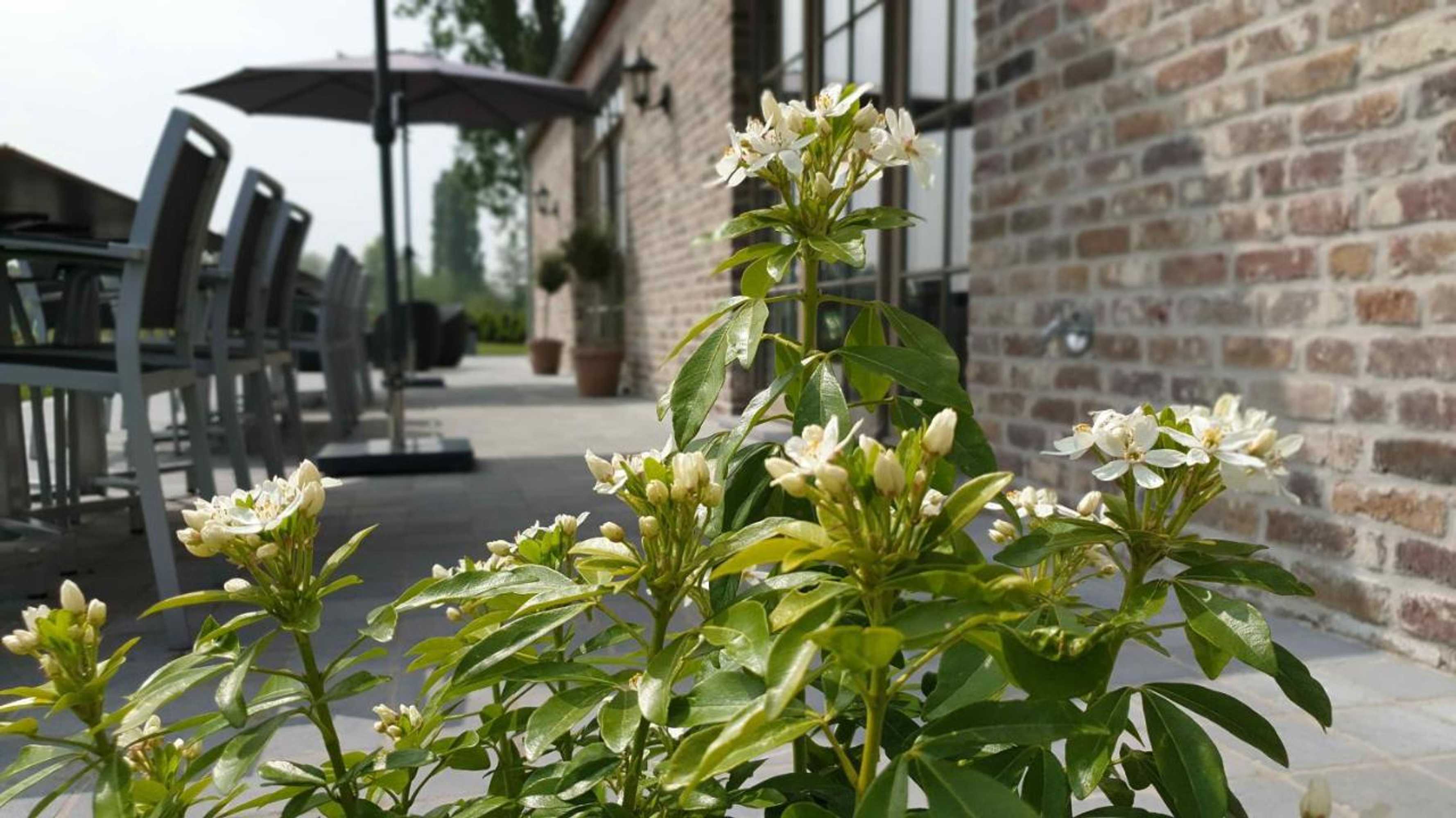 Gift card for B&b 't Meesterhof