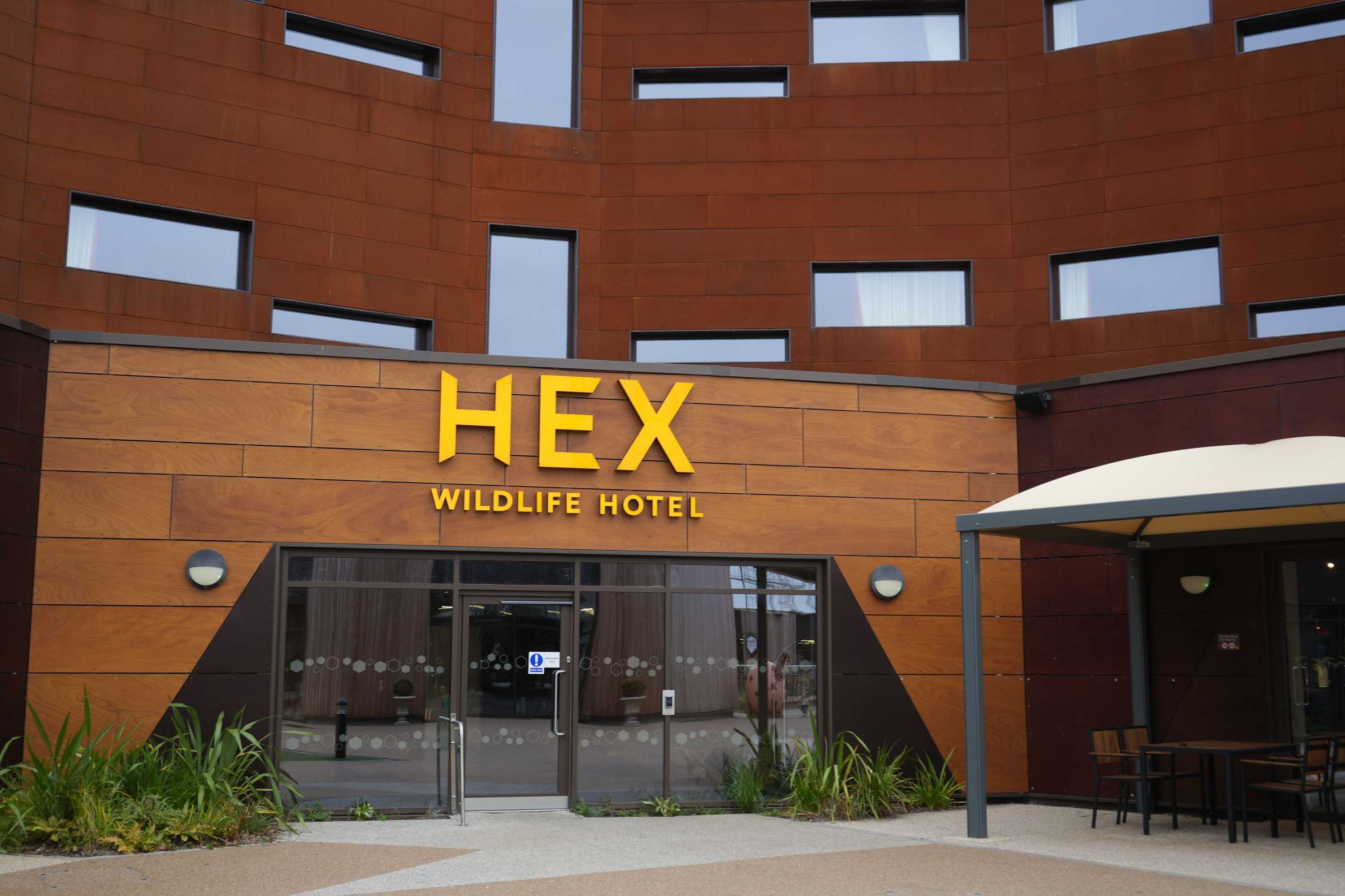 Gift card for Hex Wildlife Hotel Gift card for Hex Wildlife Hotel