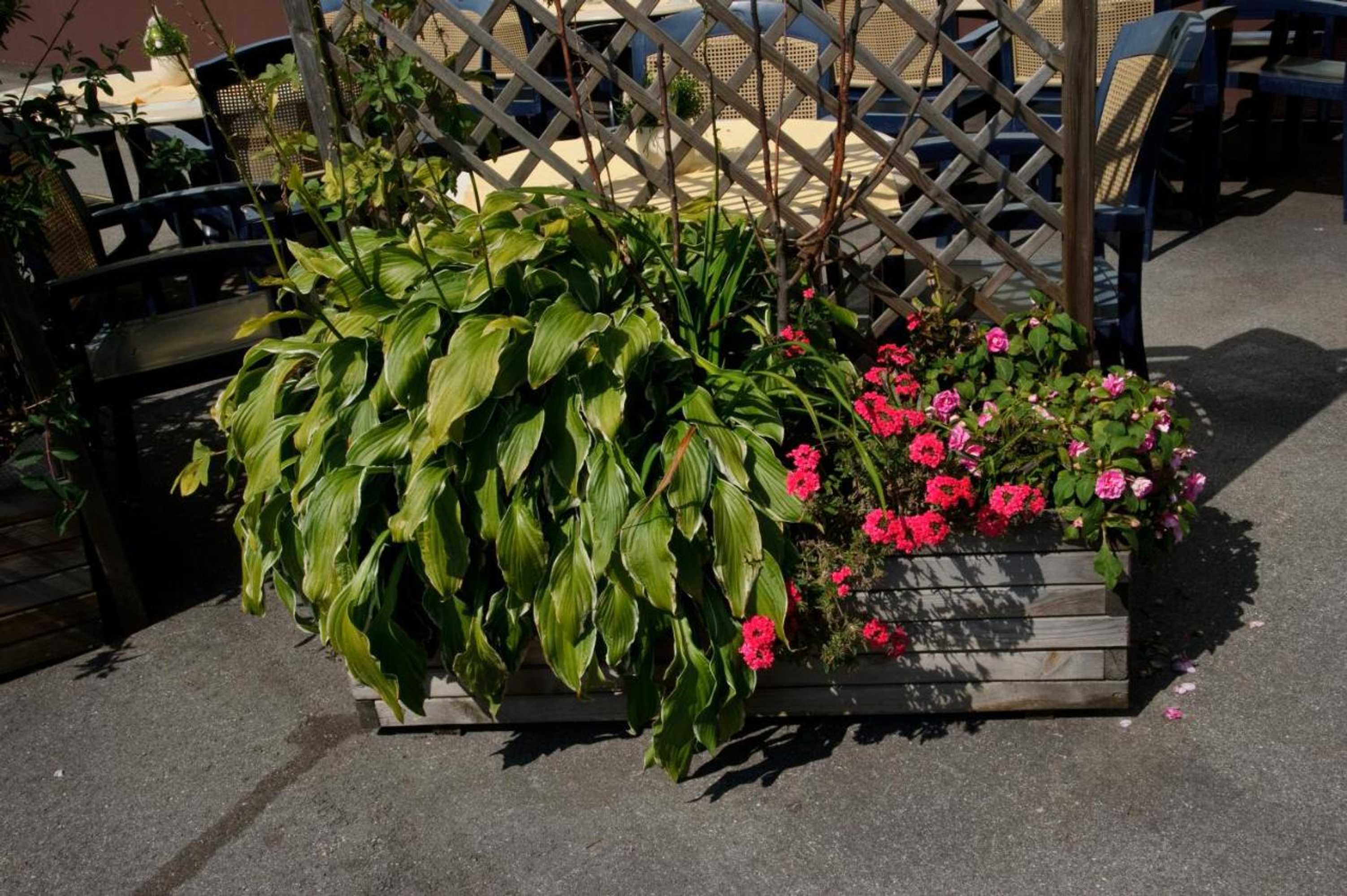 Gift card for Hirmonshof