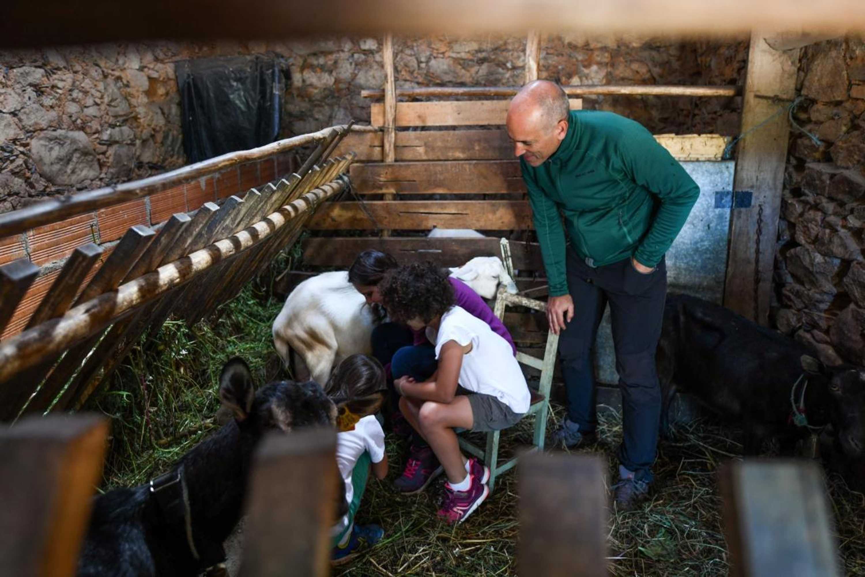 Gift card for Vale do Ninho Nature Houses