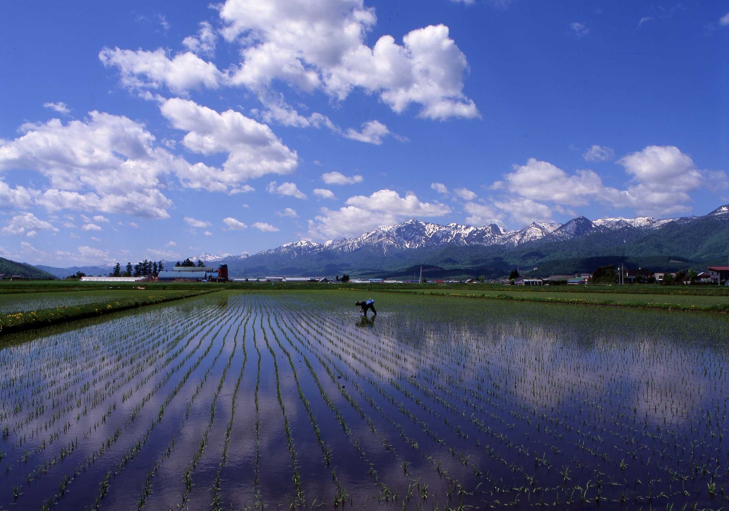 Gift card for Furano Natulux Hotel Gift card for Furano Natulux Hotel