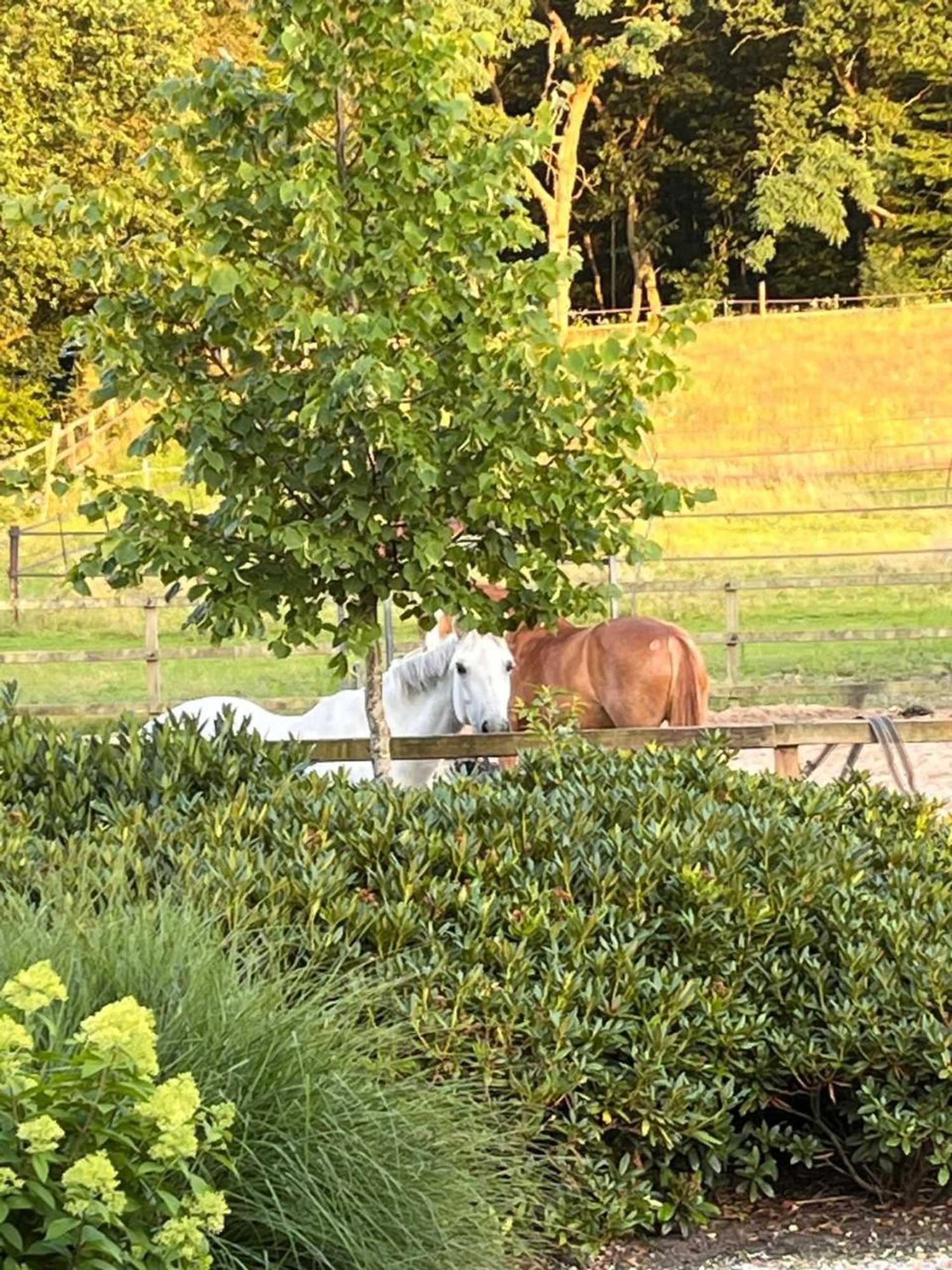 Gift card for Bed And Breakfast De Paalberg