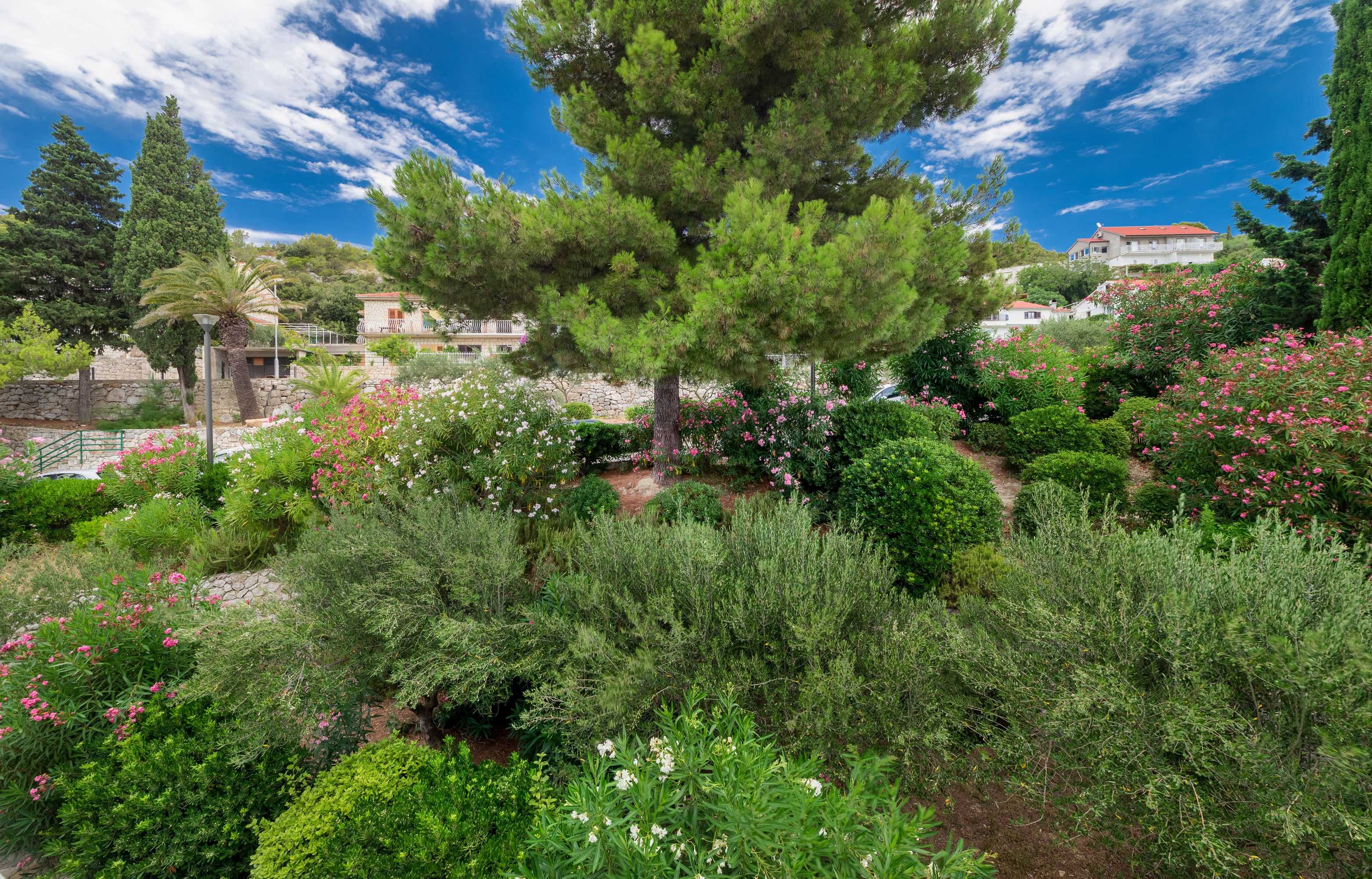 Gift card for Amfora Hvar Grand Beach Resort Gift card for Amfora Hvar Grand Beach Resort