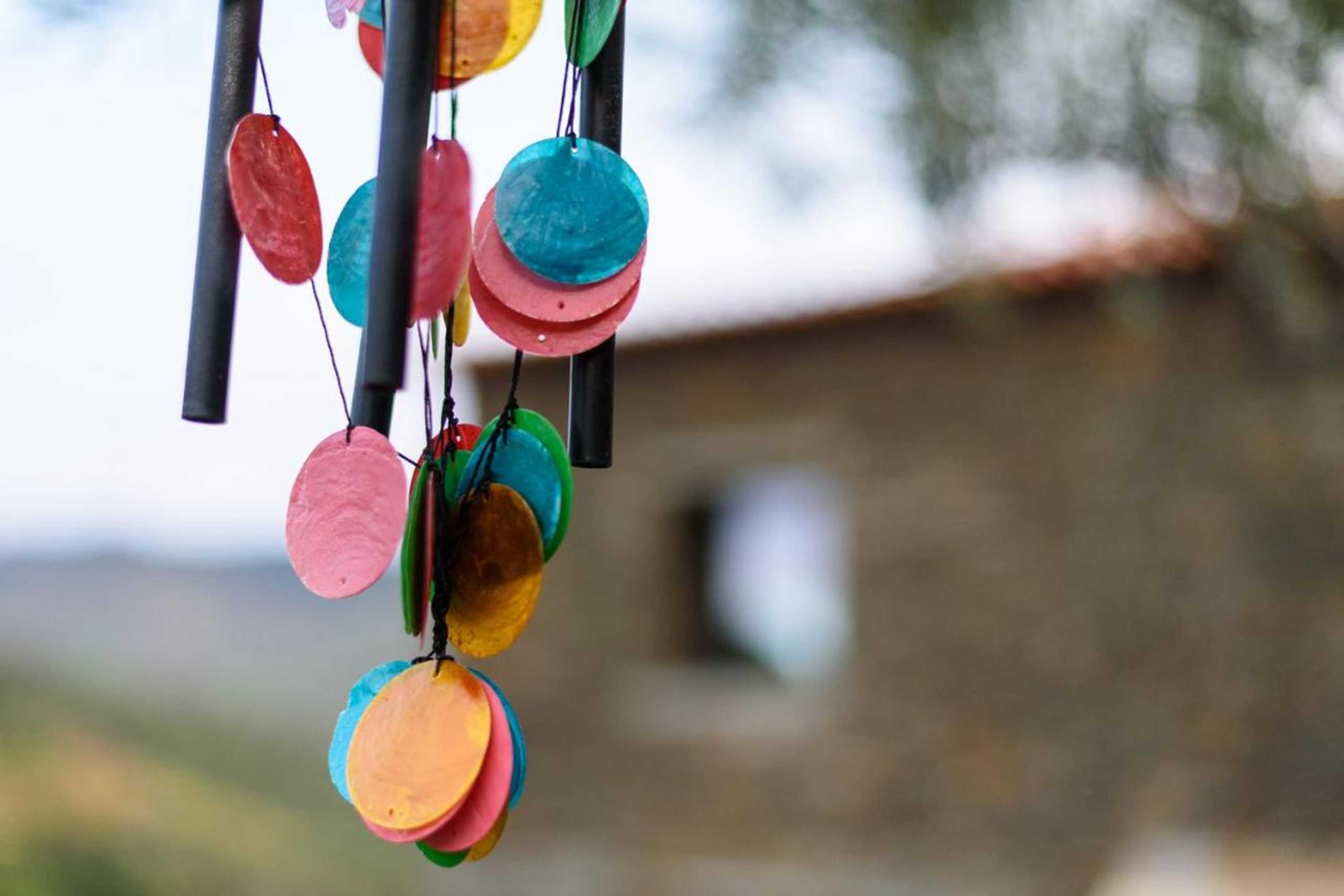 Gift card for Casa Do Rolapipas - Rolapipas Villa