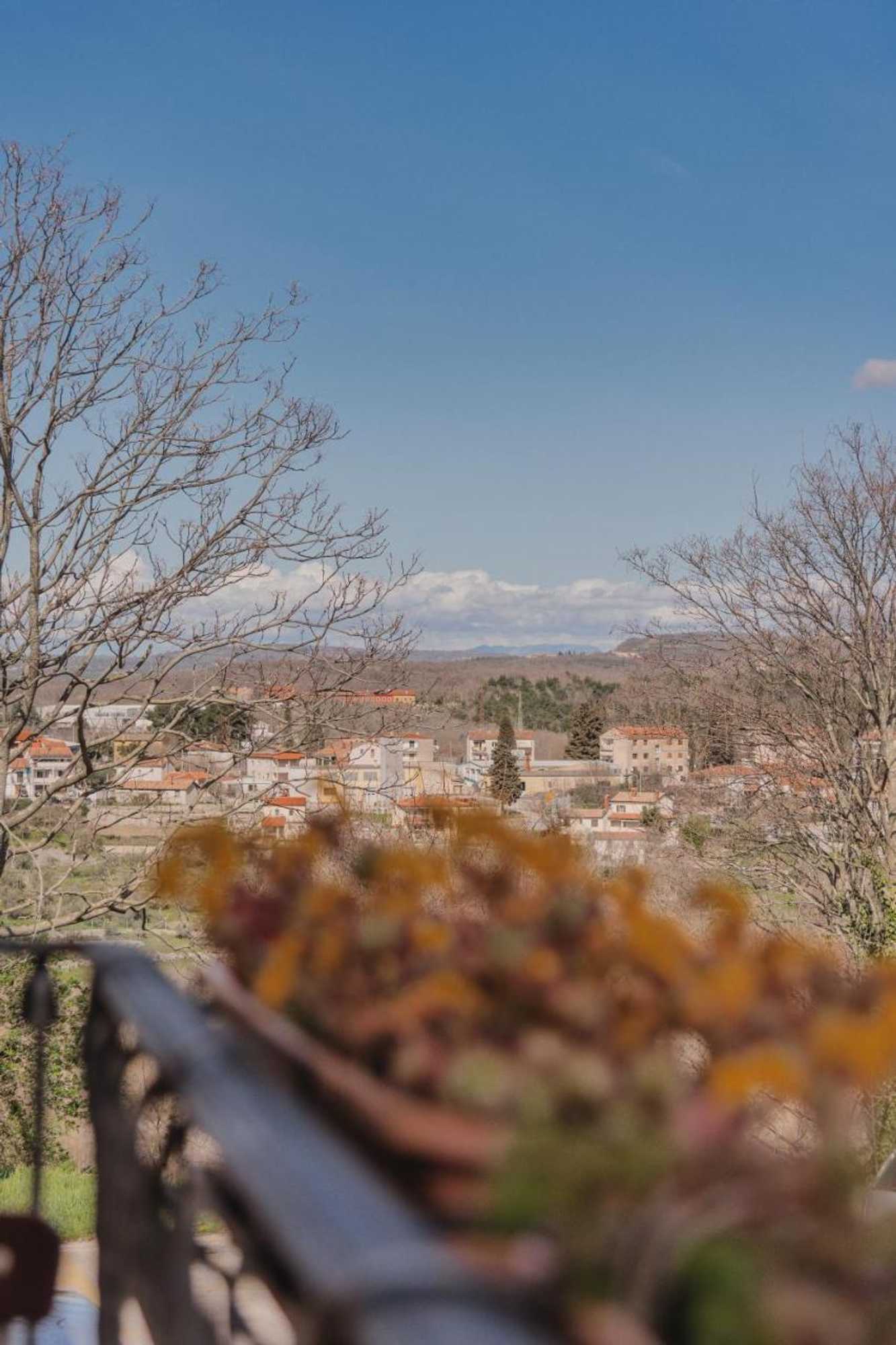 Gift card for Bella & Stella Rooms