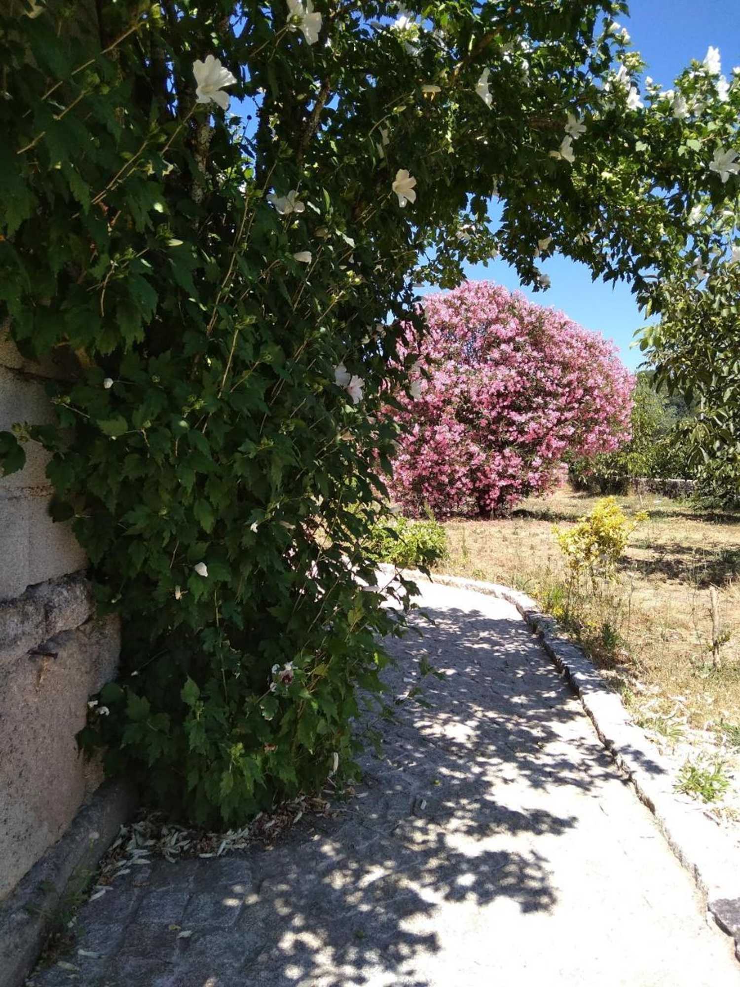 Gift card for Casa do Forno, Viseu