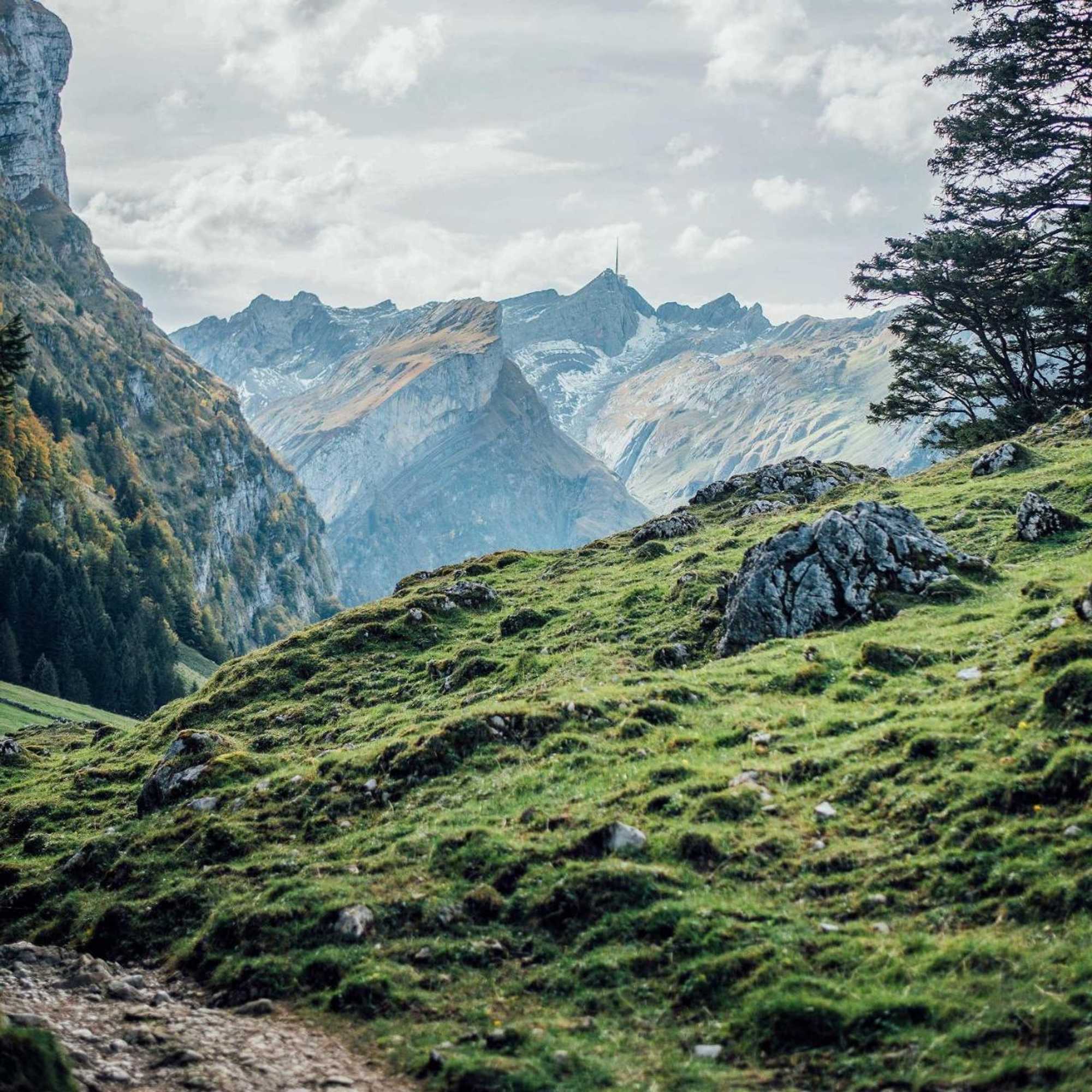 Gift card for Neuhof Gäste-& Schokohaus