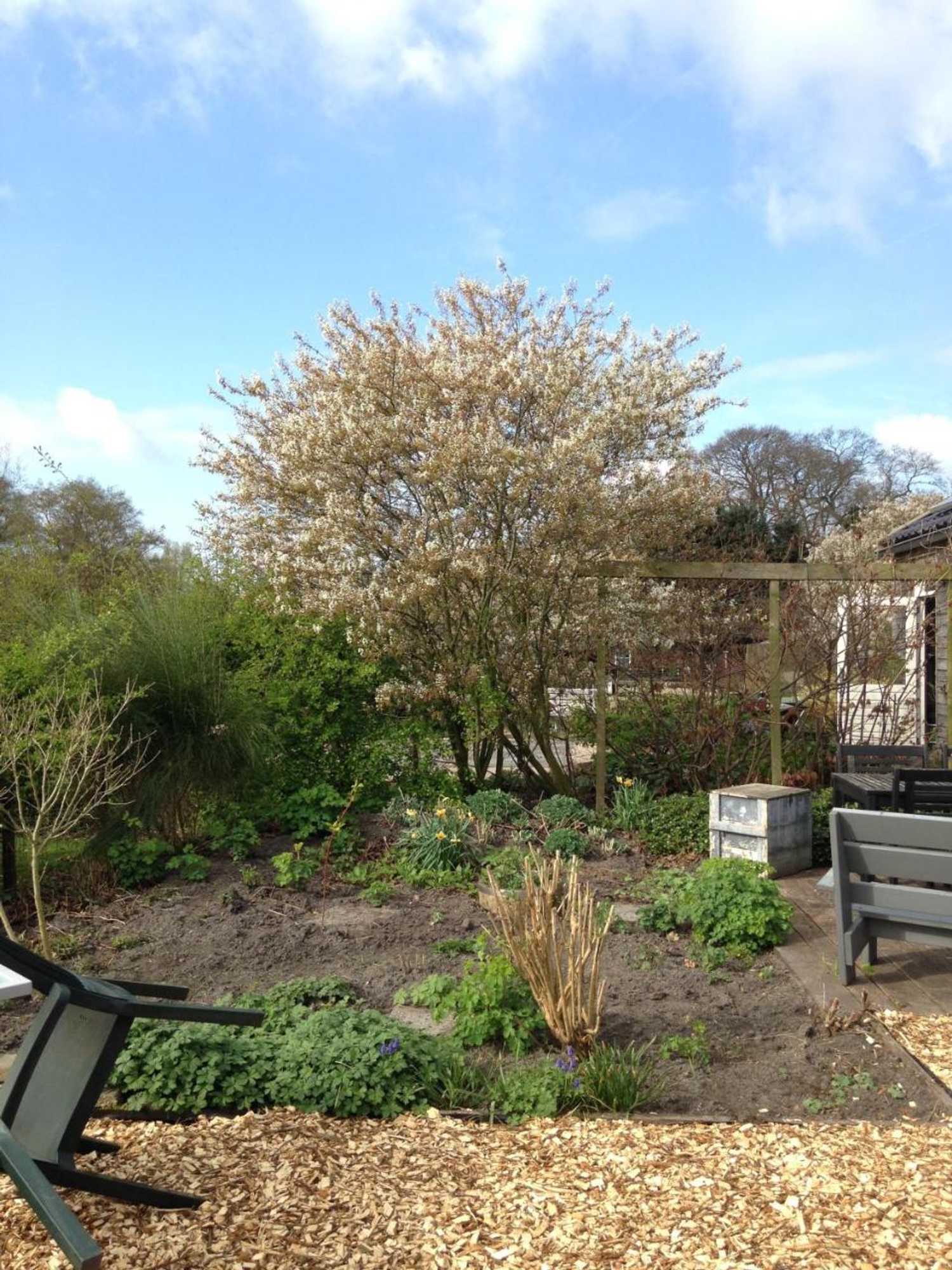 Gift card for B&b Op Kolderveen