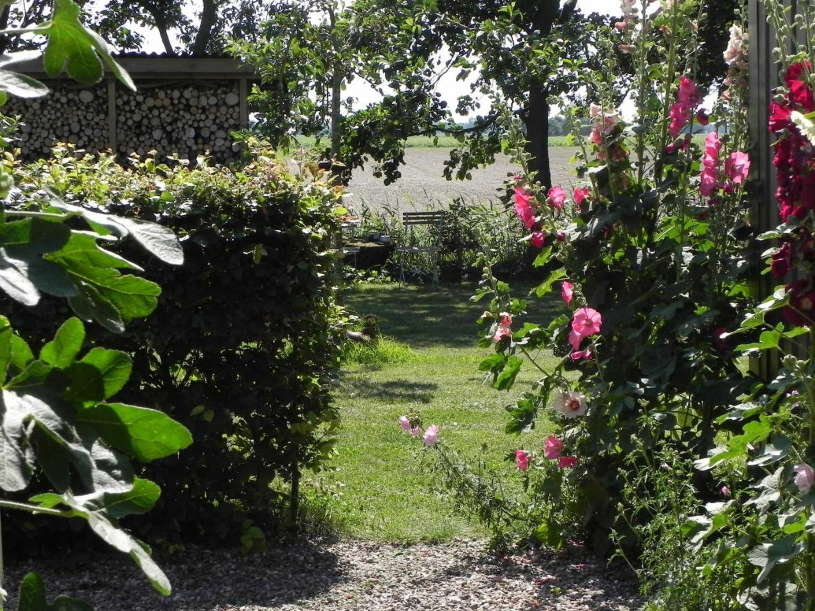 Gift card for Appels en Peren Bed And Breakfast