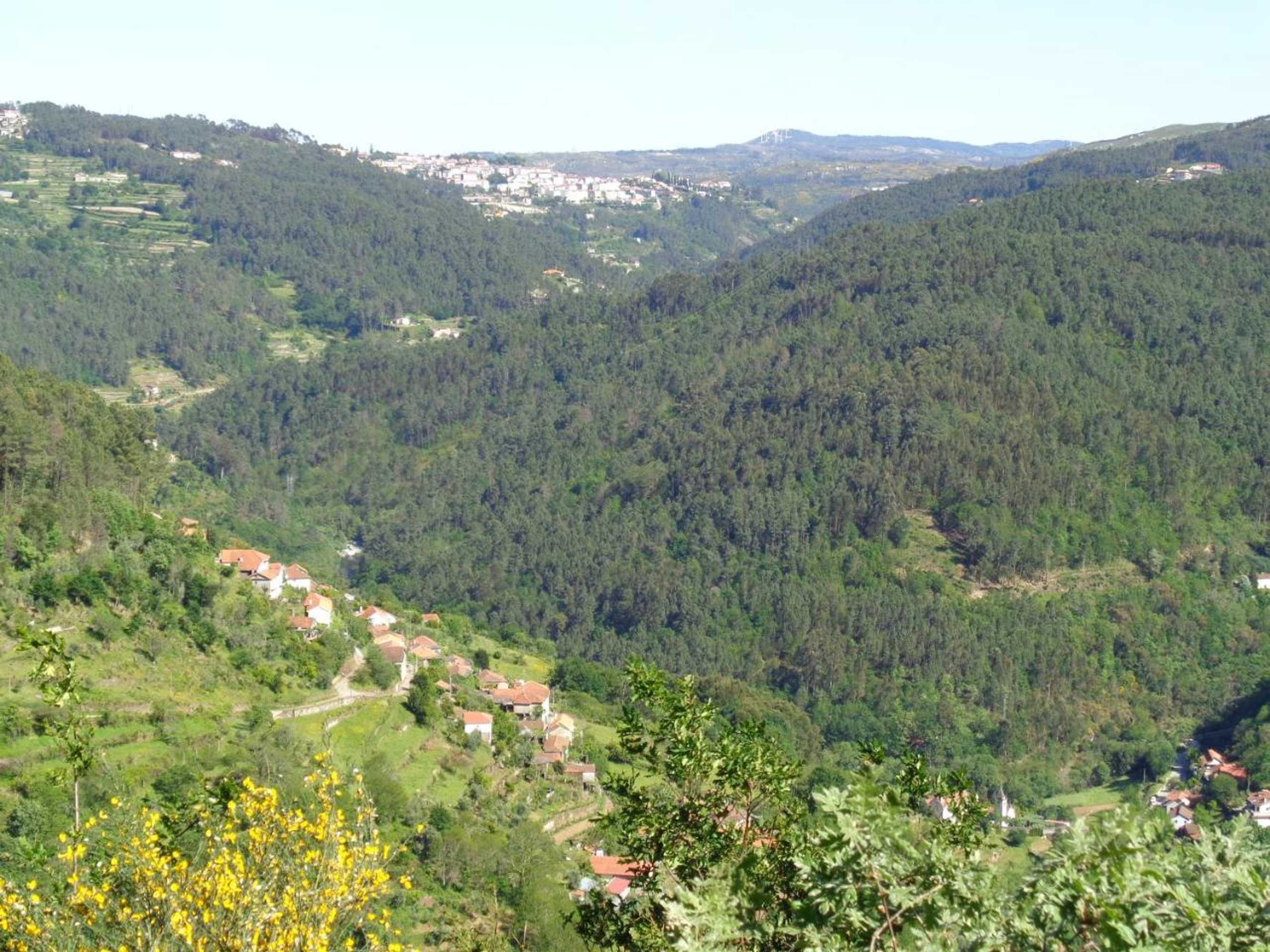 Gift card for Casa Carolina Gift card for Casa Carolina