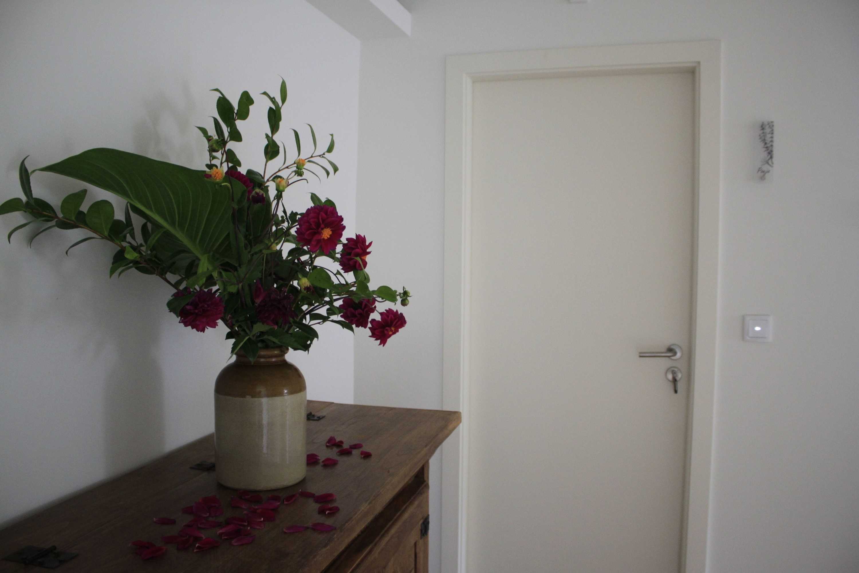 Gift card for Casa da Cisaltina