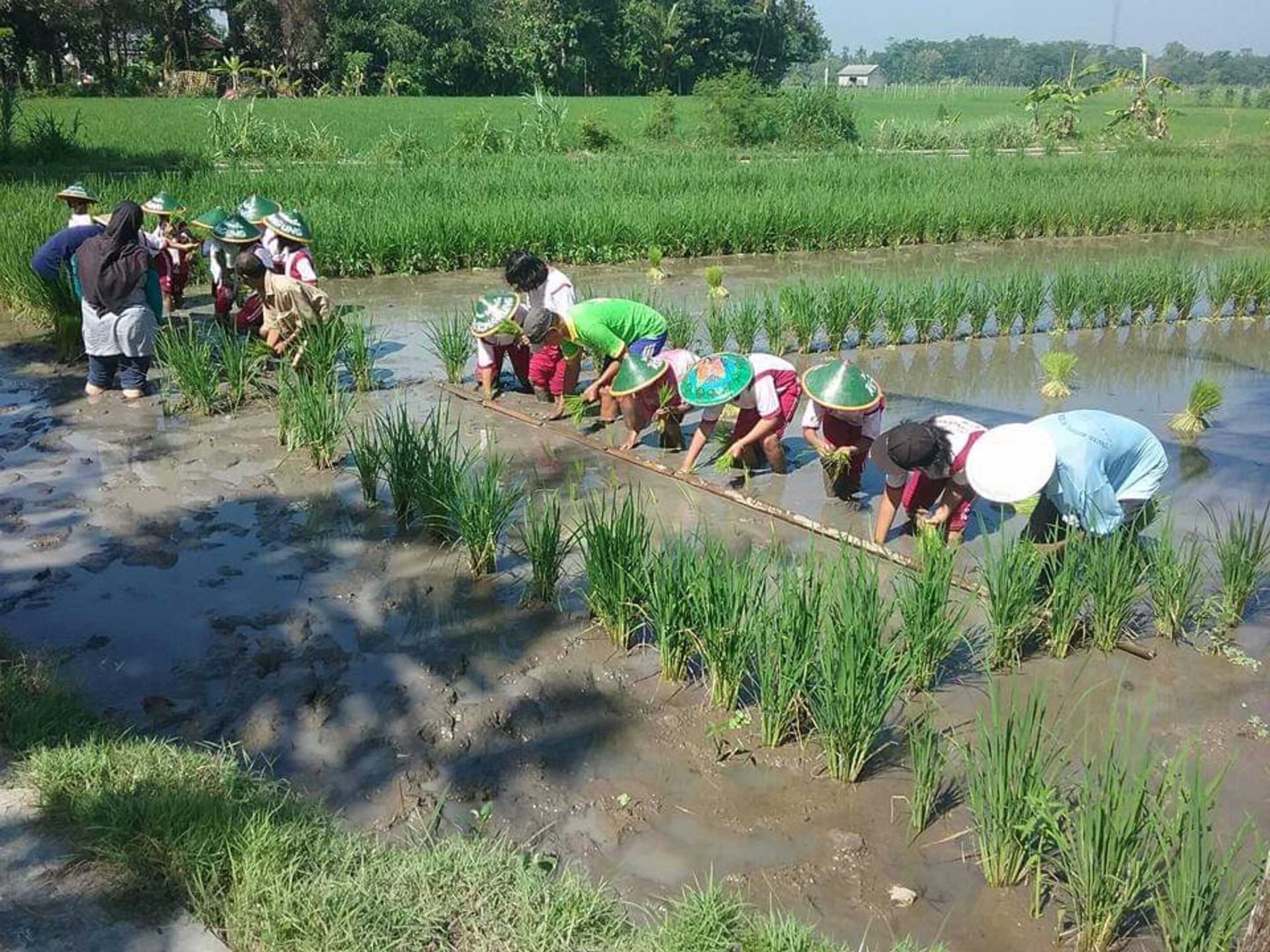 Gift card for Narti Homestay