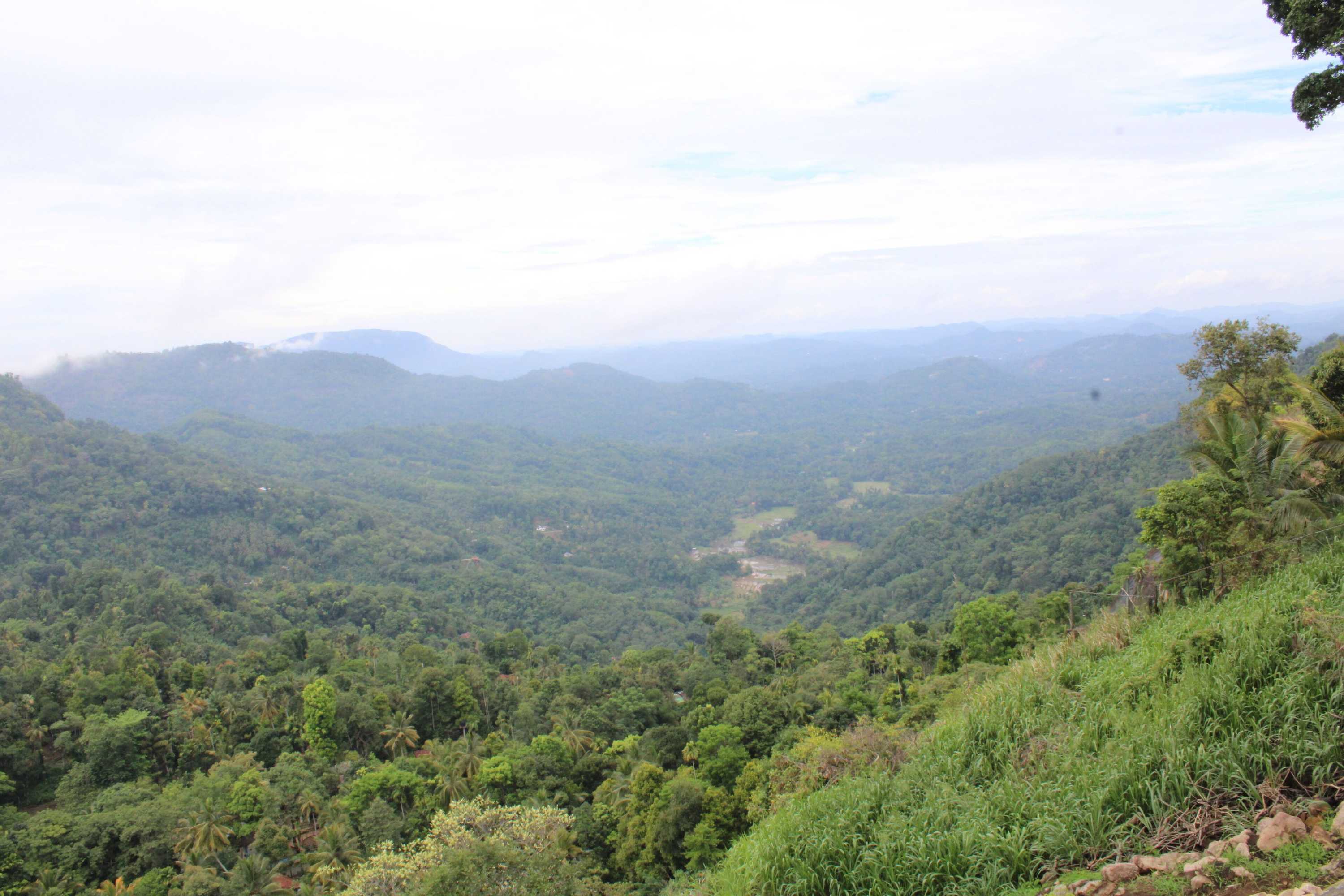 Gift card for Misty Hills Kadugannawa Gift card for Misty Hills Kadugannawa