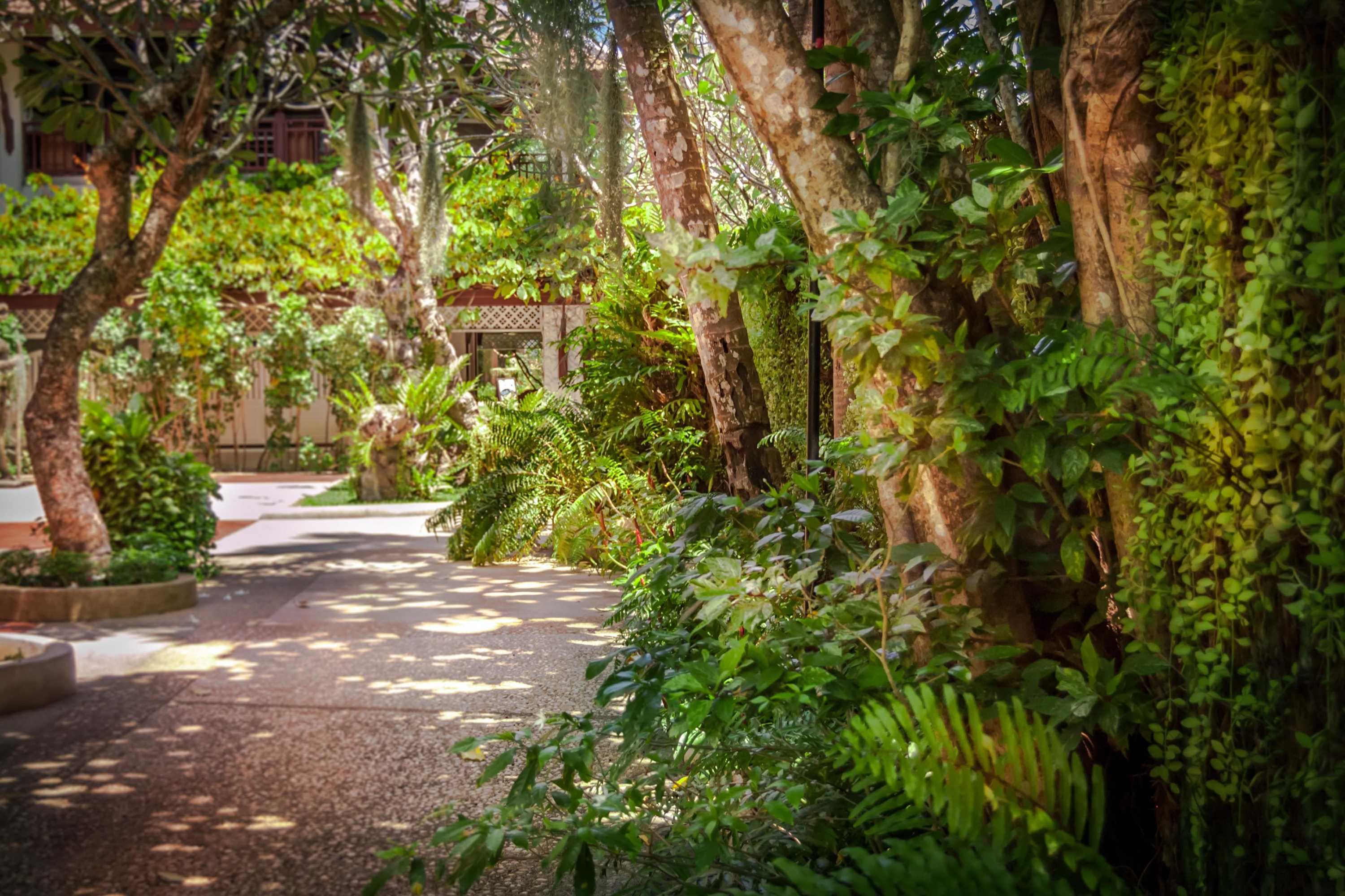 Gift card for Thavorn Beach Village Resort & Spa Phuket Gift card for Thavorn Beach Village Resort & Spa Phuket
