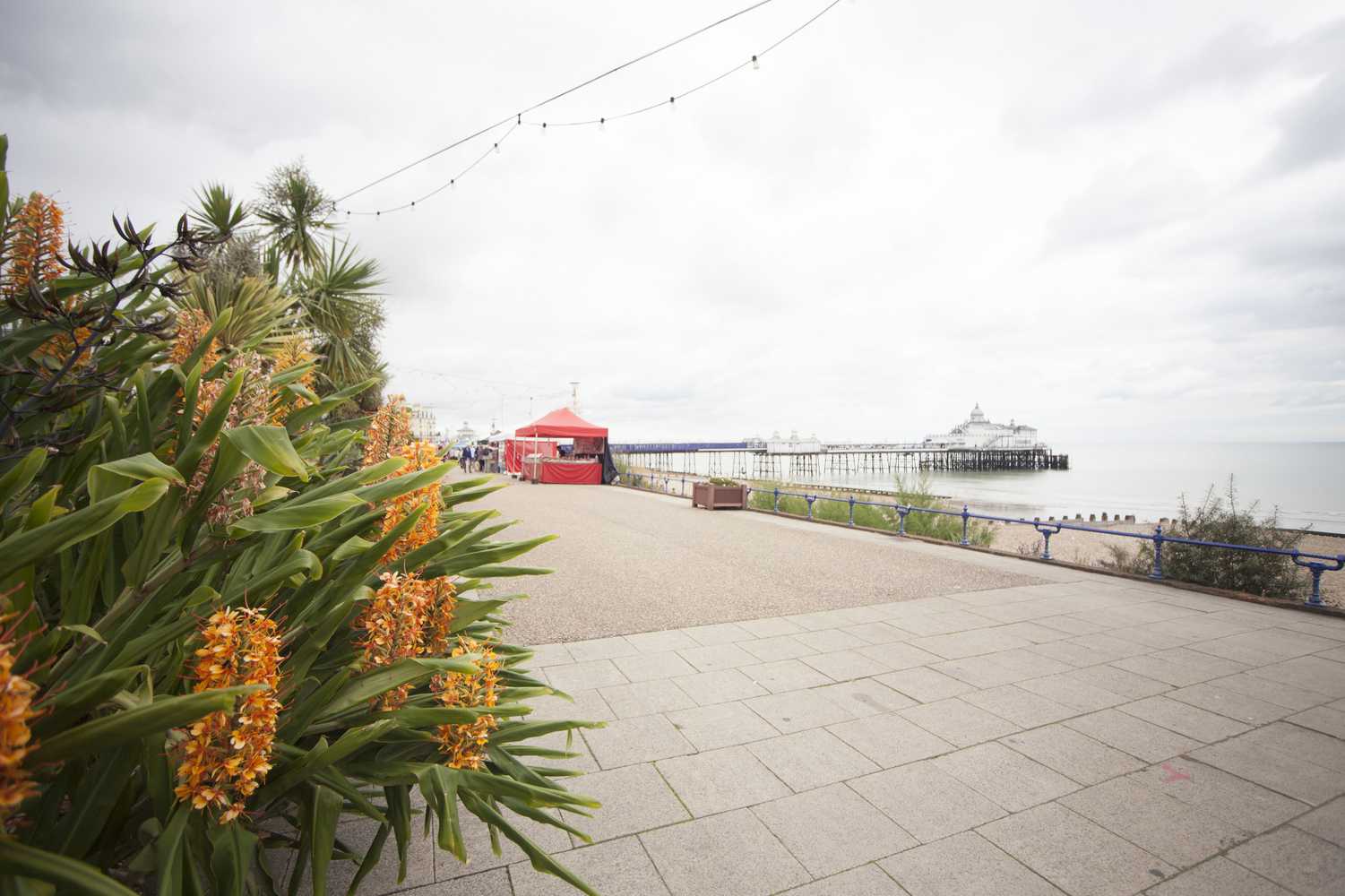 Gift card for Best Western Plus Citrus Hotel Eastbourne