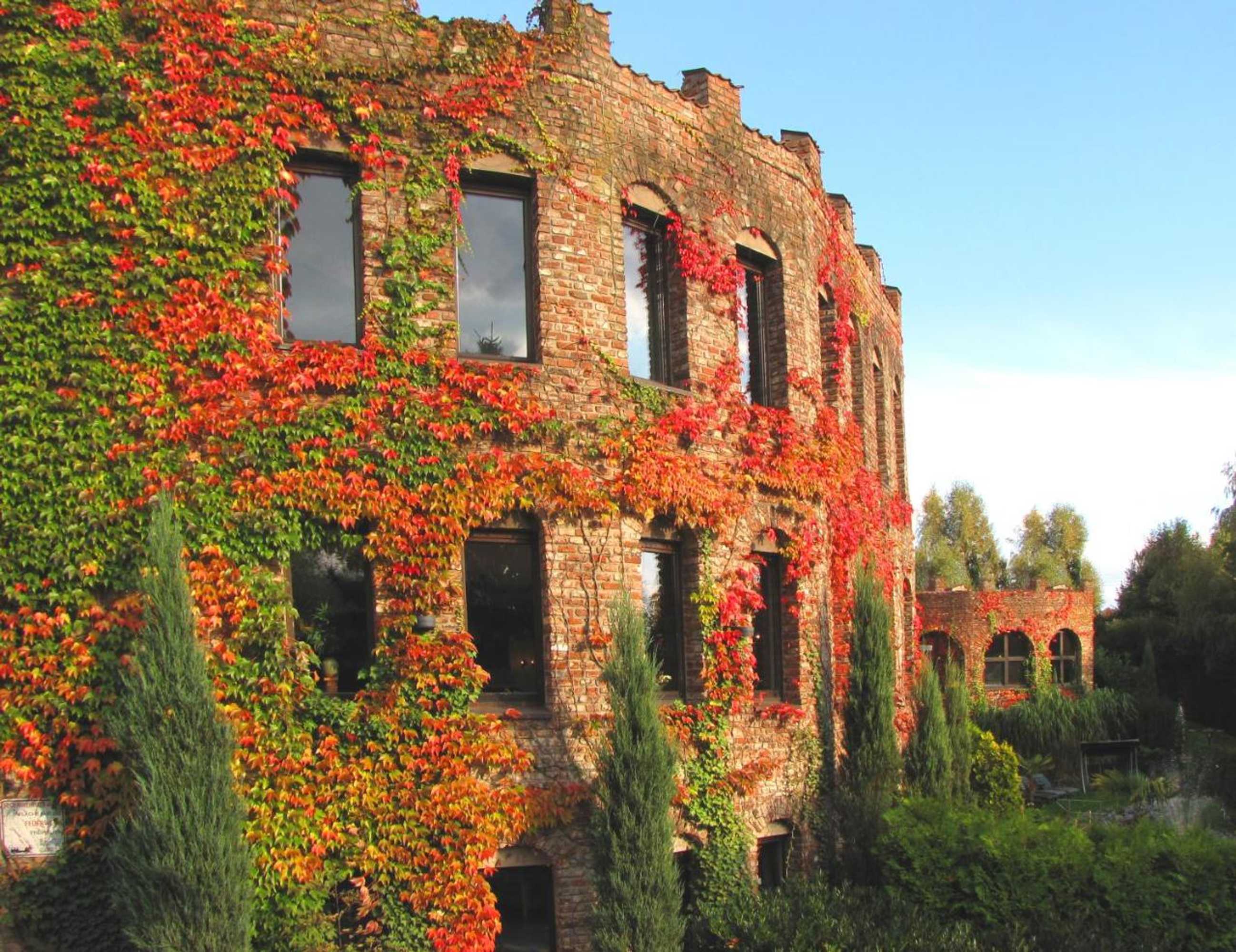 Gift card for Hotel Land Gut Höhne