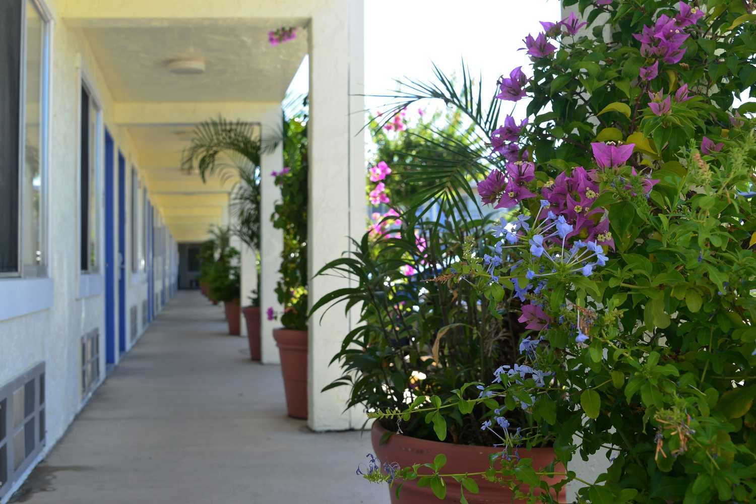 Gift card for Americas Best Value Inn Bradenton Sarasota Gift card for Americas Best Value Inn Bradenton Sarasota