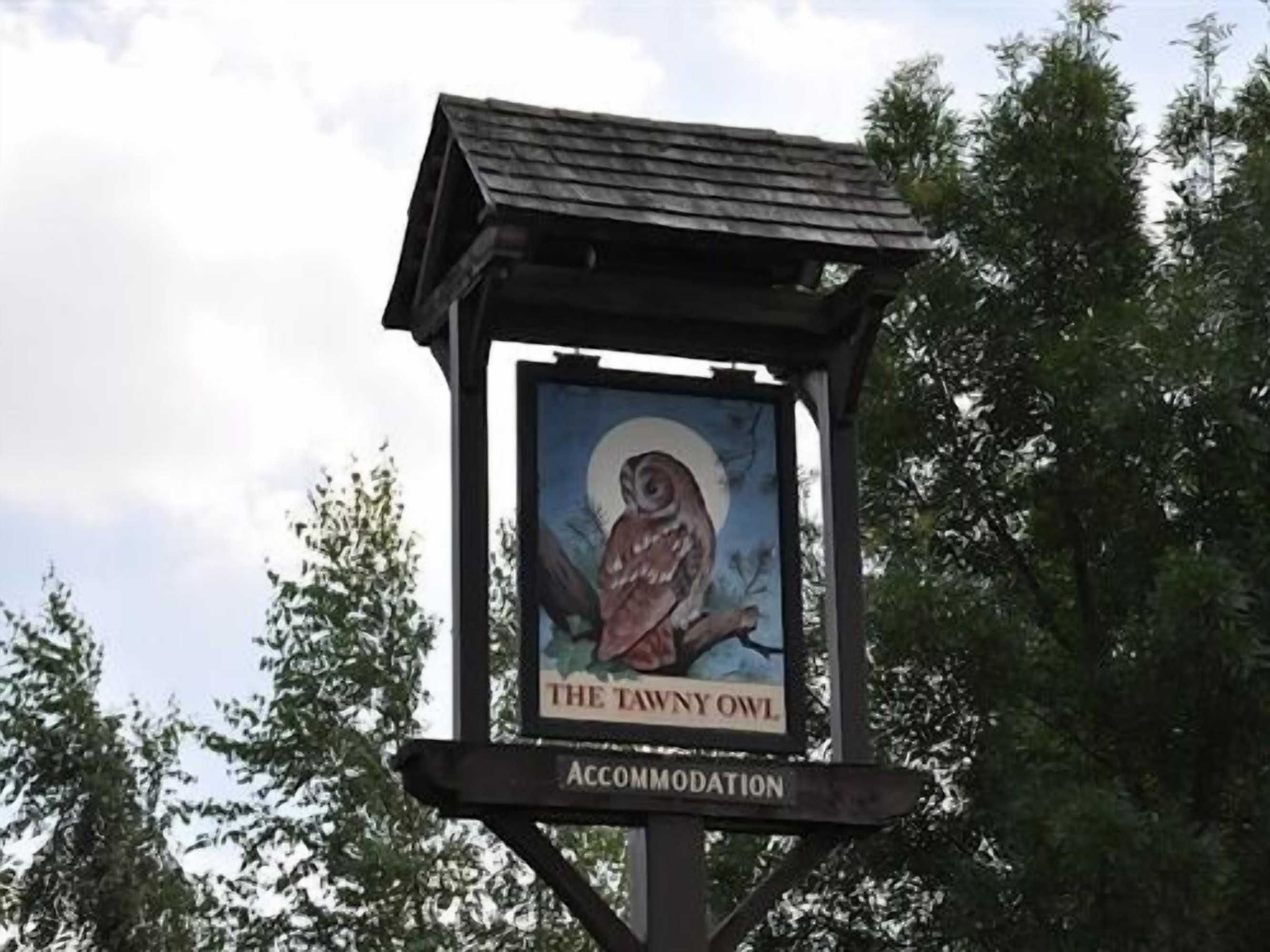 Gift card for The Tawny Owl