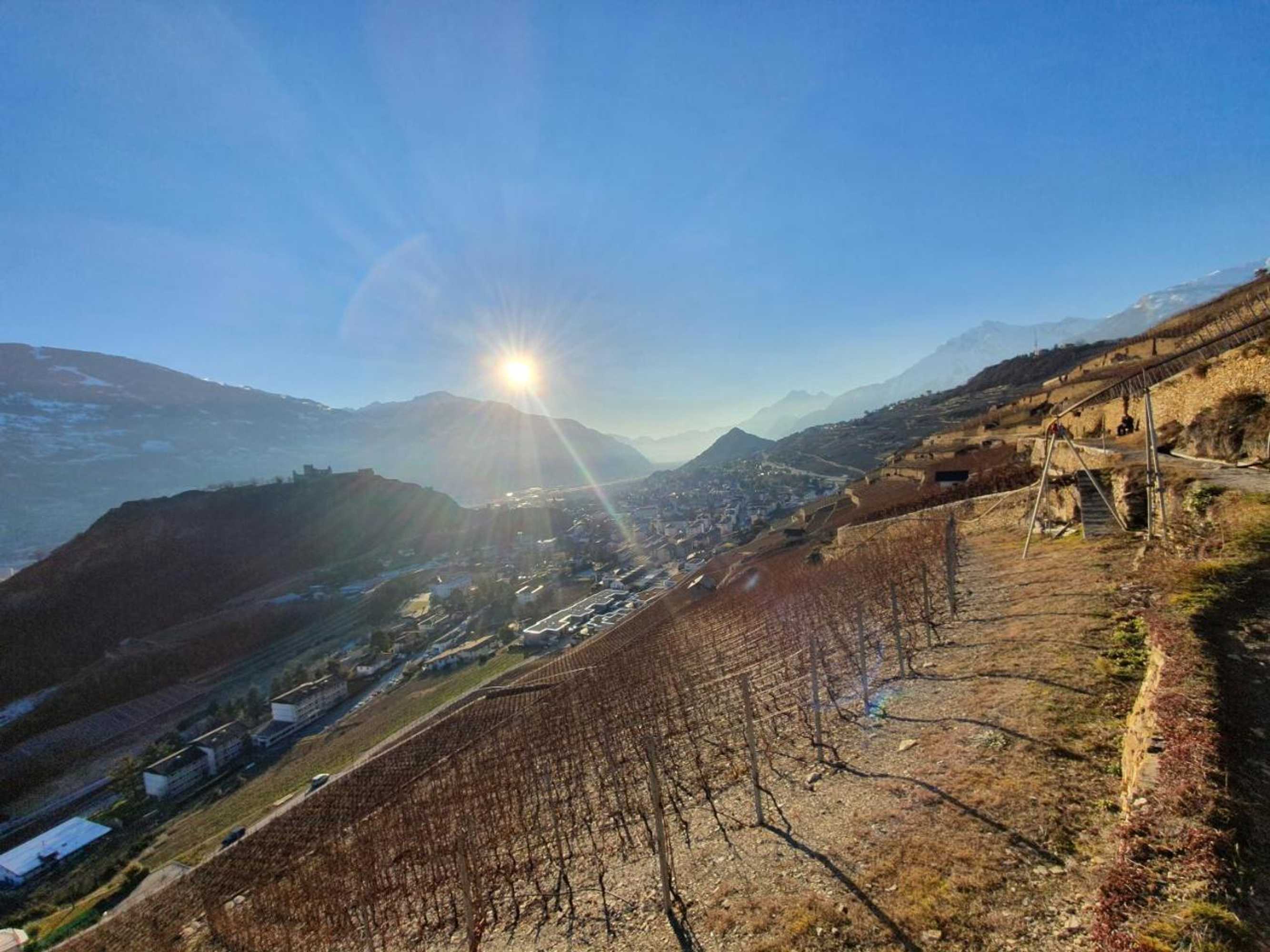 Gift card for Le Merle Châtelain