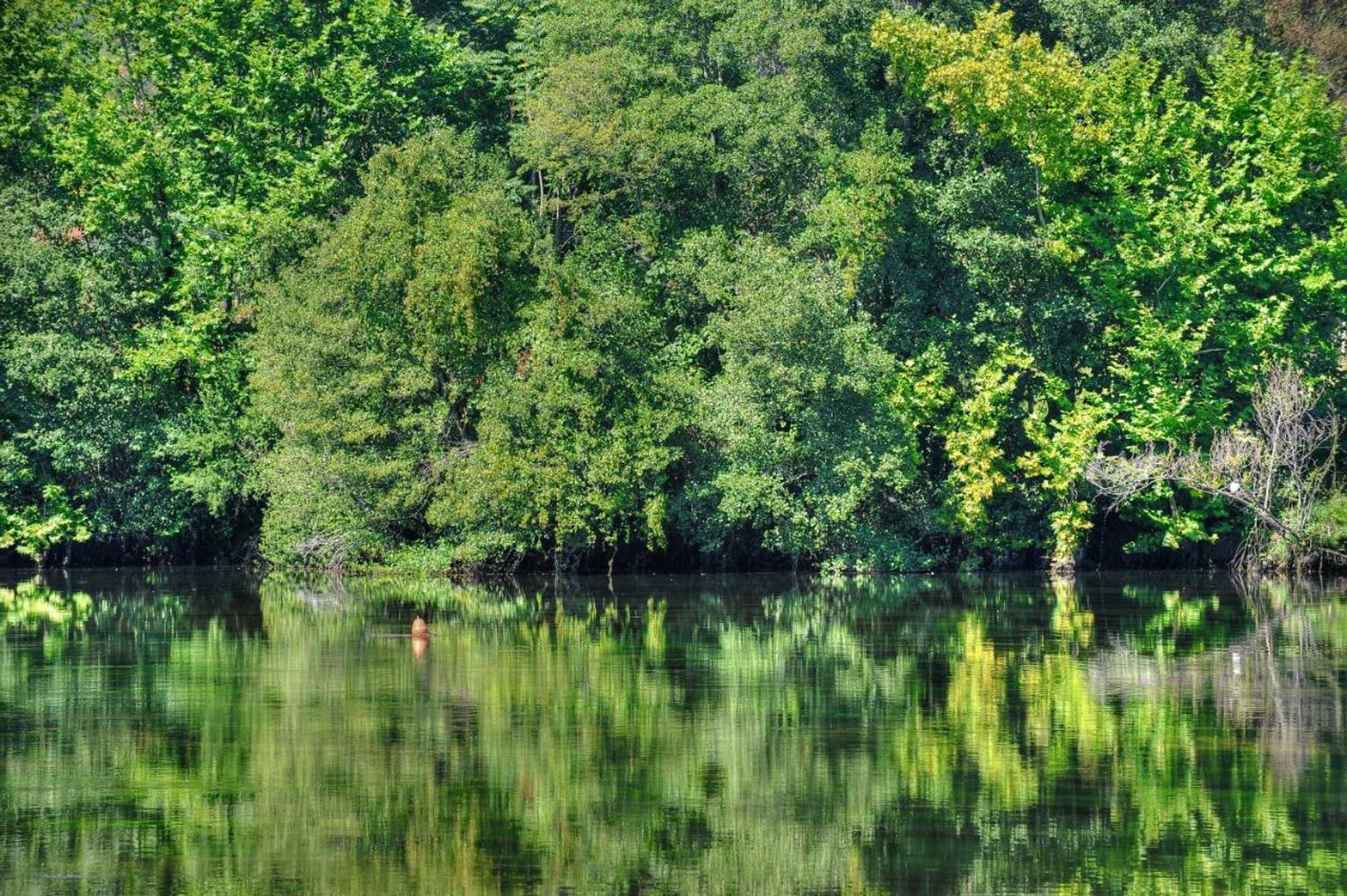 Gift card for Quinta de Luou