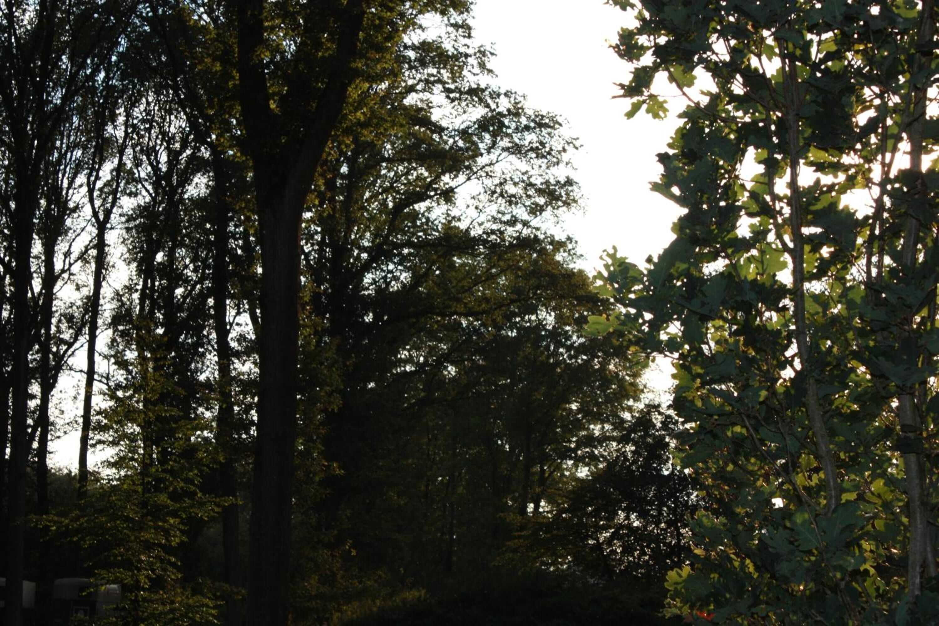 Gift card for Schlafgut Hotels in Reken