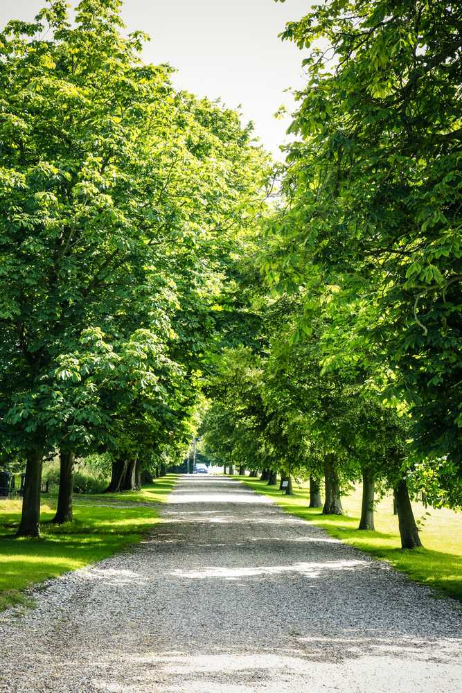 Gift card for Sturmer Hall Hotel & Conference Centre Gift card for Sturmer Hall Hotel & Conference Centre